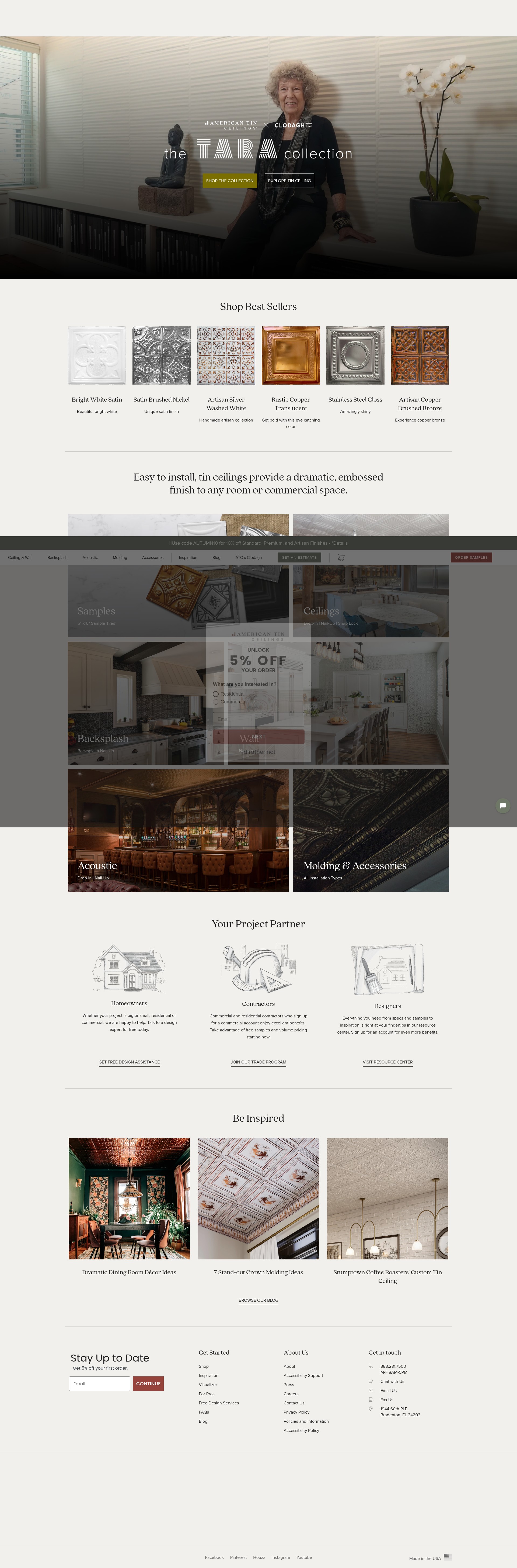 Screenshot of americantinceilings.com