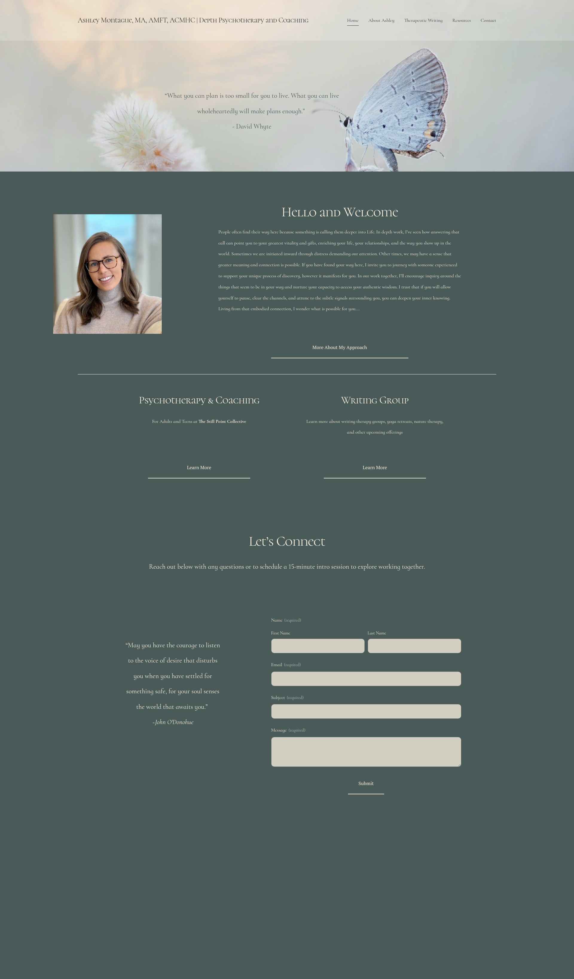 Screenshot of amontague.com