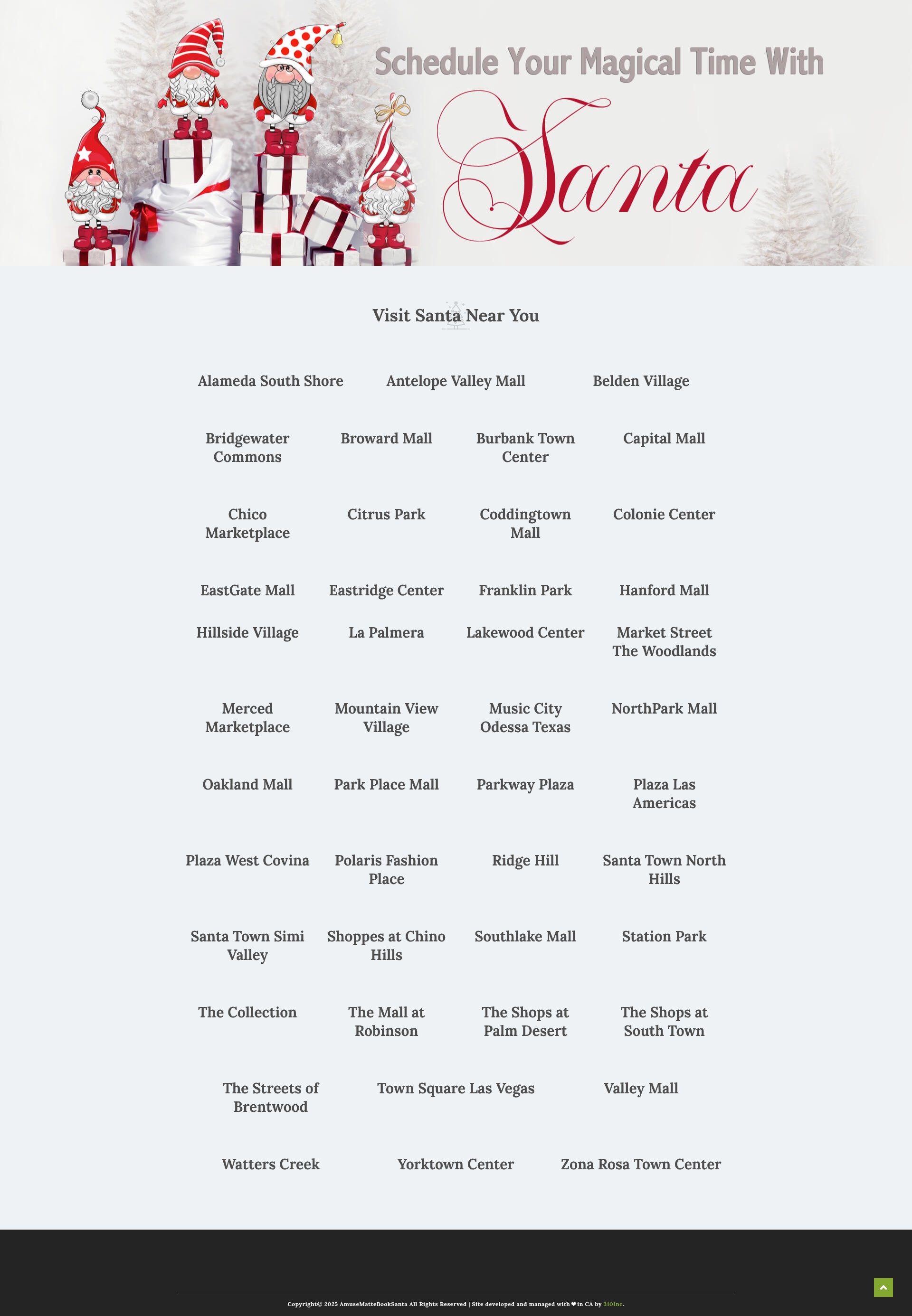 Screenshot of amusemattebooksanta.com