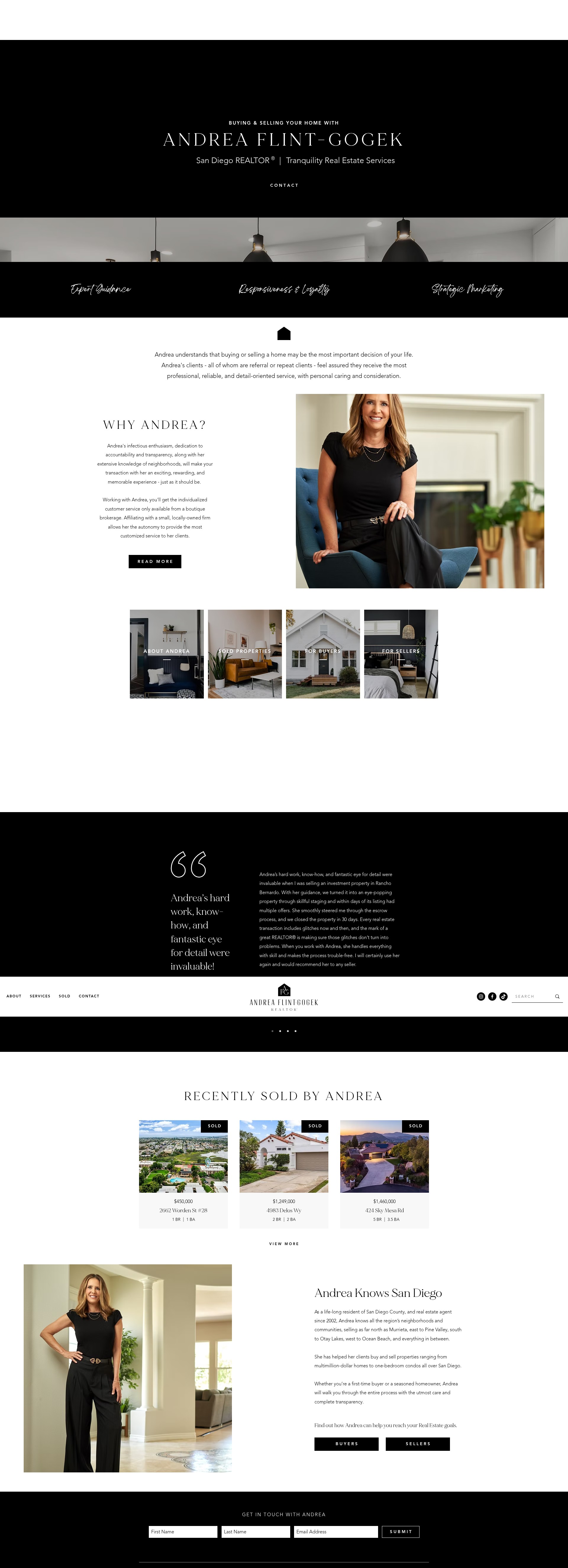 Screenshot of andreaflintgogek.com