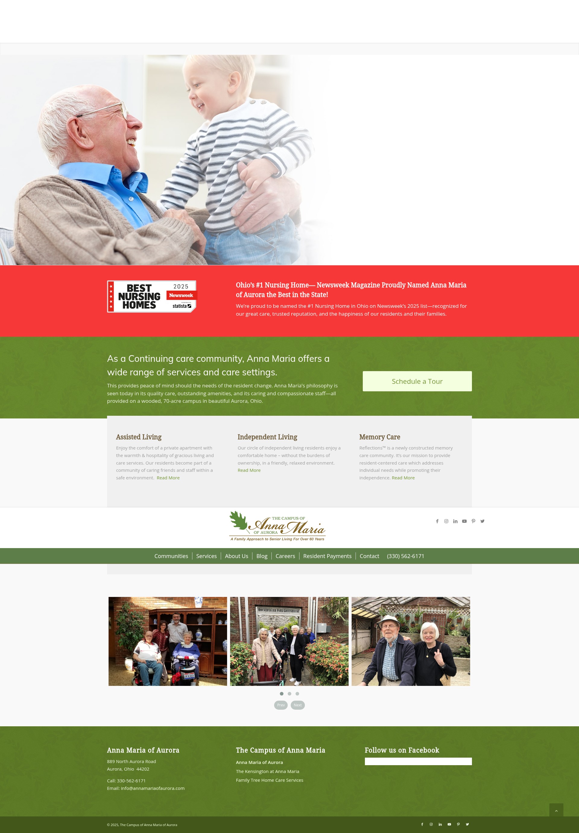 Screenshot of annamariaofaurora.com