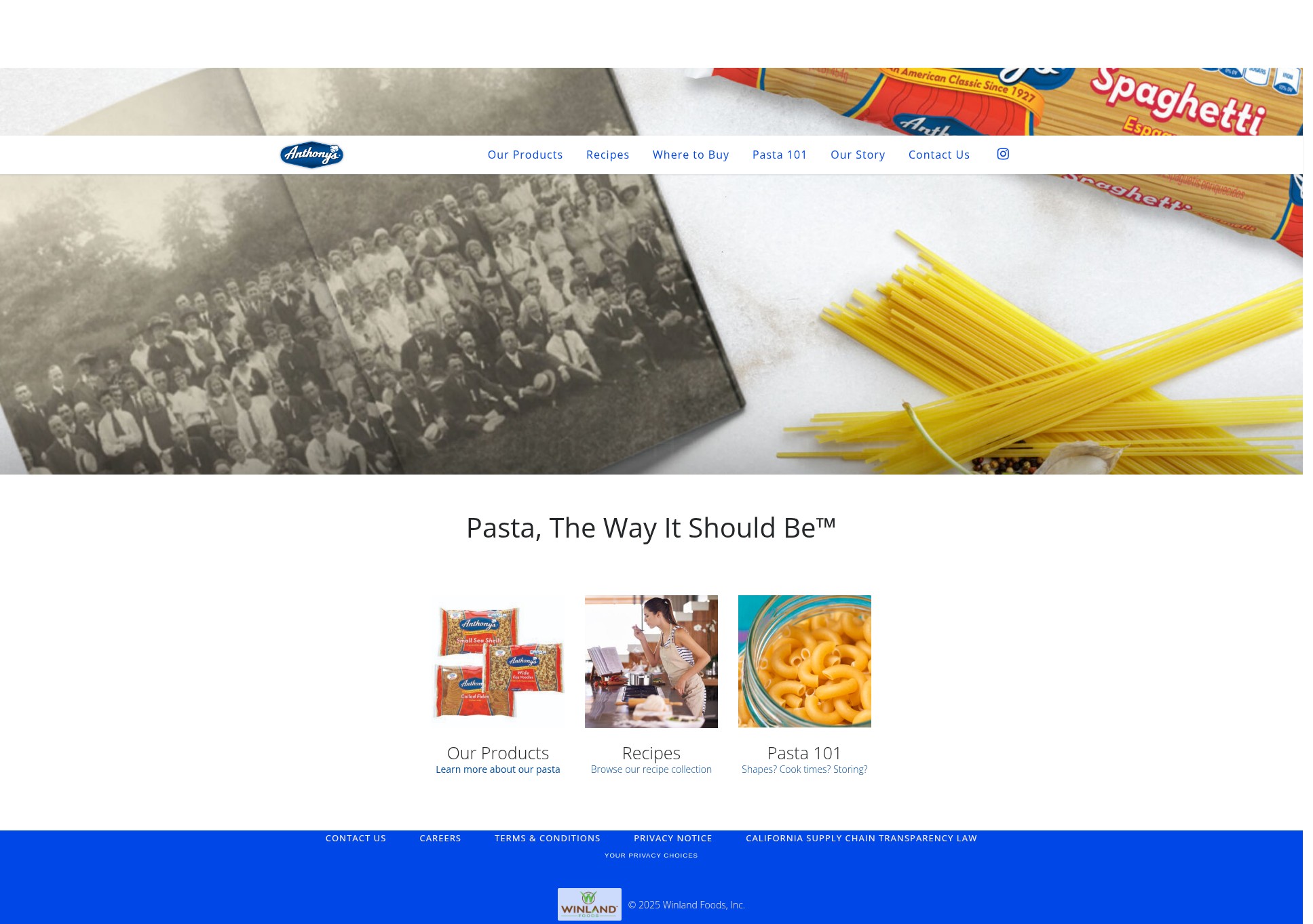 Screenshot of anthonyspasta.com