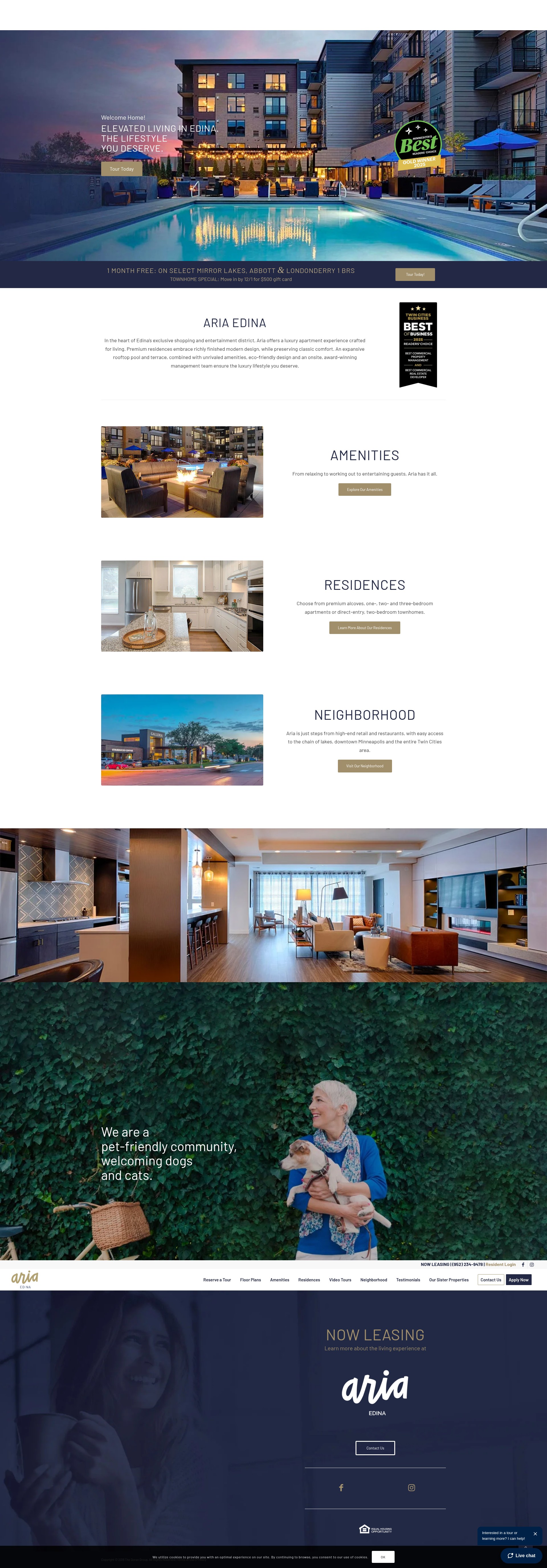 Screenshot of ariaedina.com