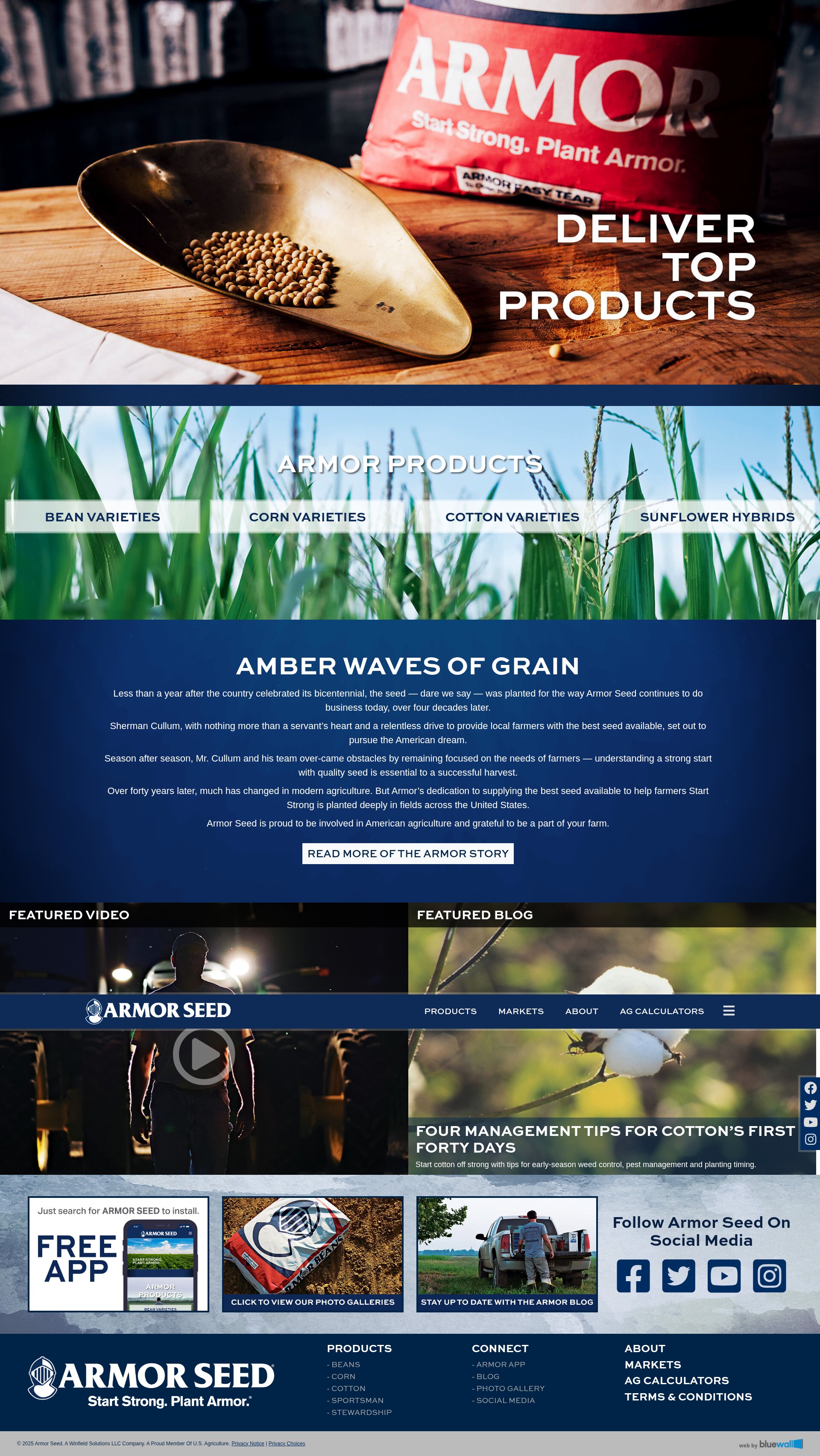 Screenshot of armorseed.com