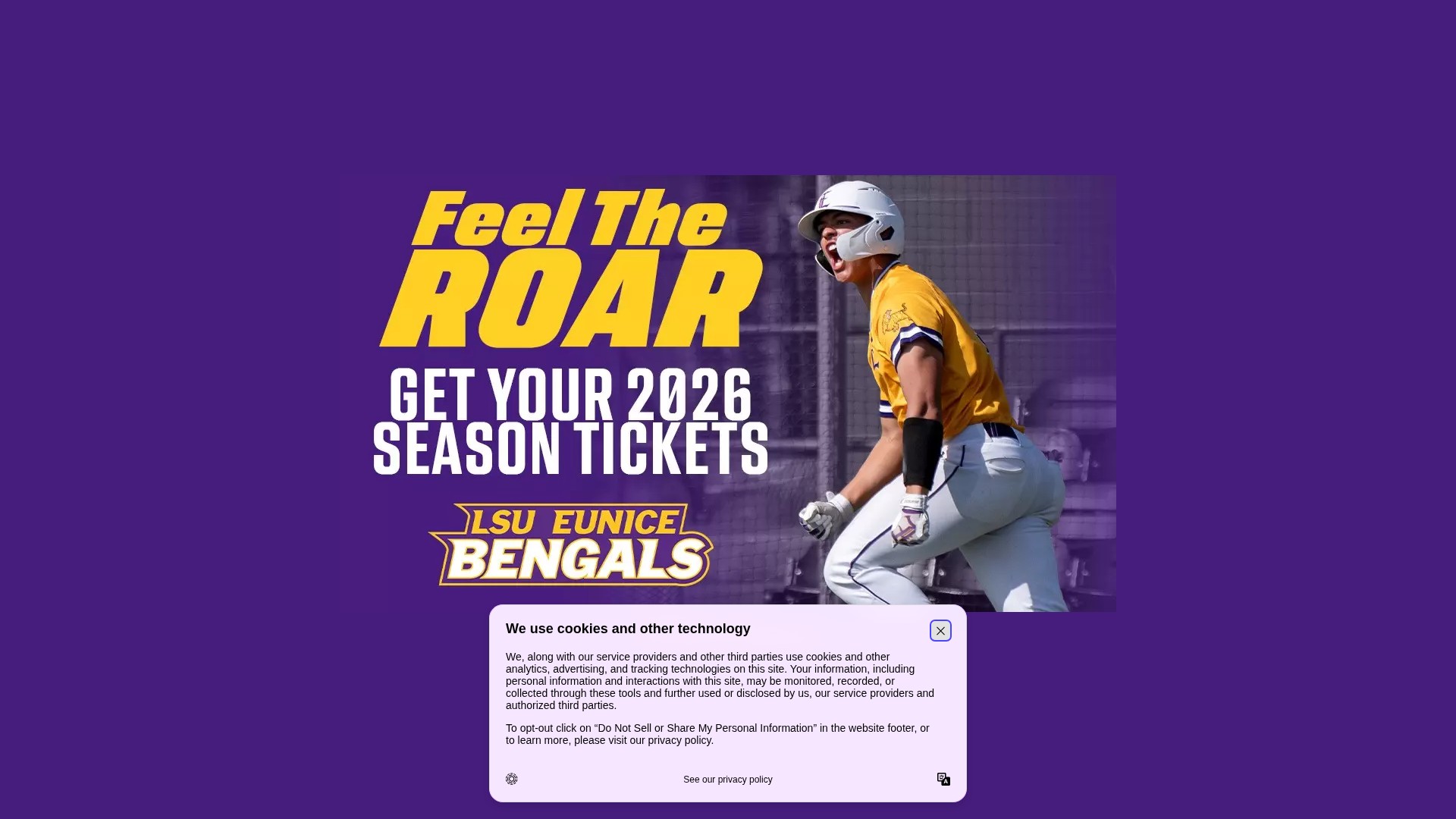 Screenshot of athletics.lsue.edu
