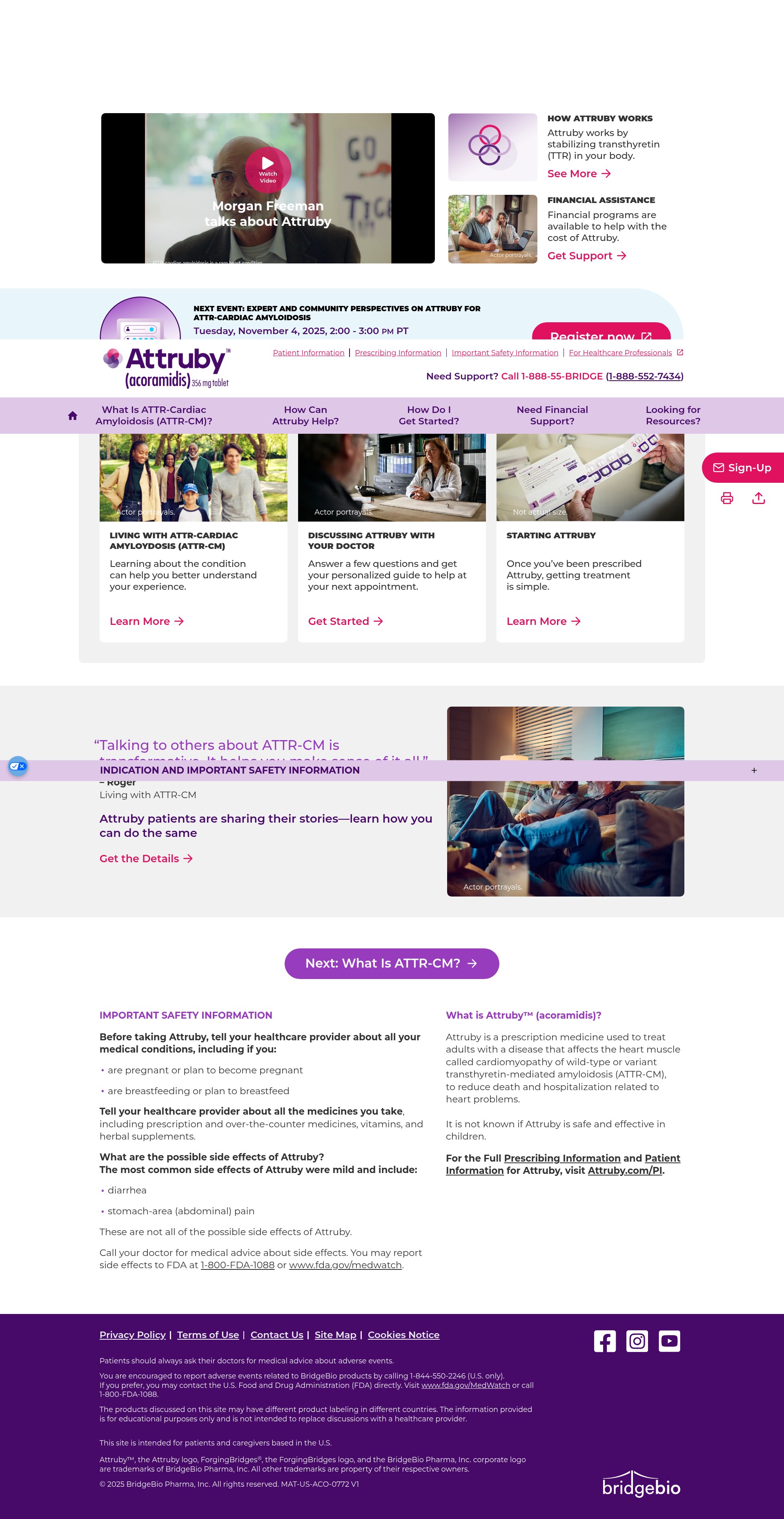 Screenshot of attruby.com