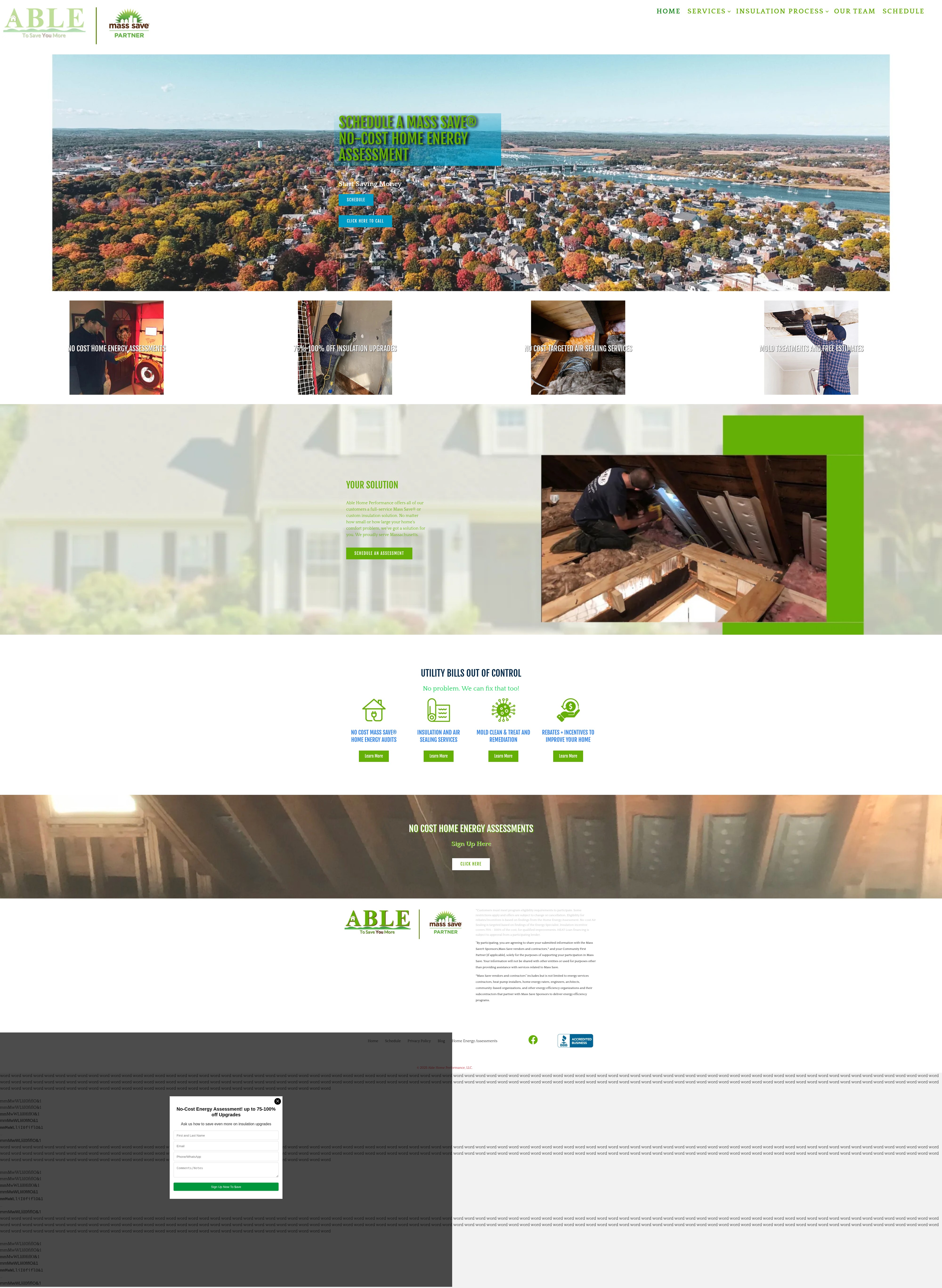 Screenshot of auditmyhome.com
