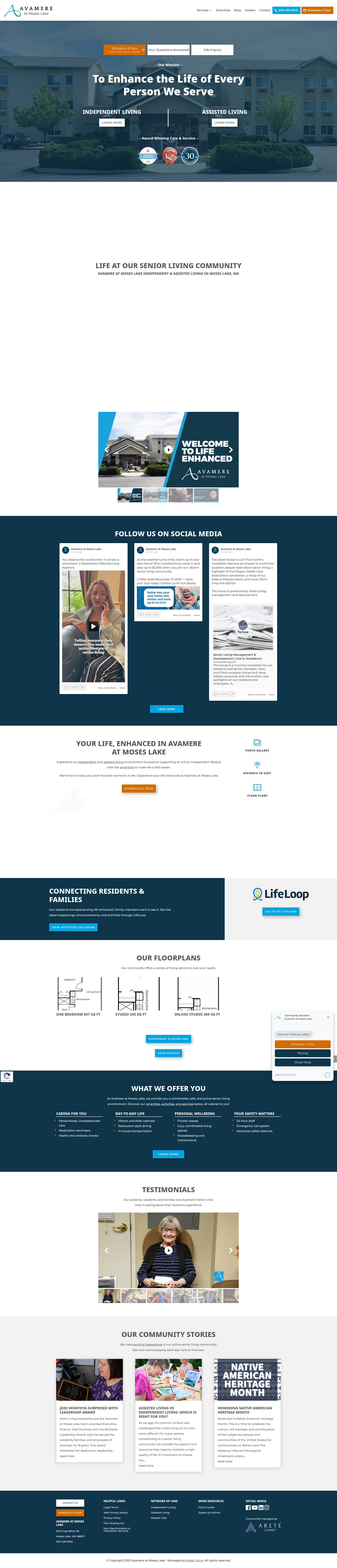 Screenshot of avamereatmoseslake.com