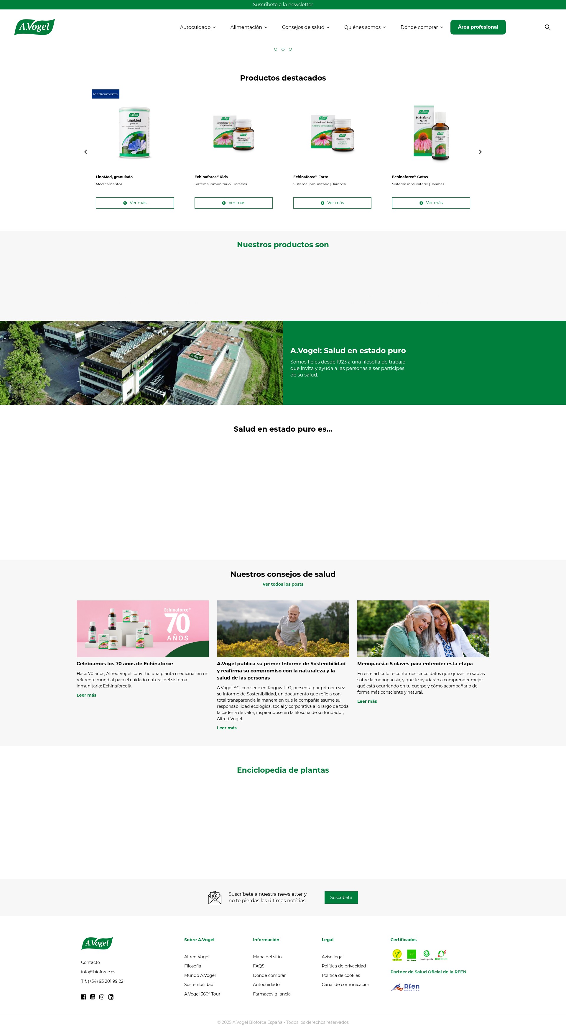 Screenshot of avogel.es