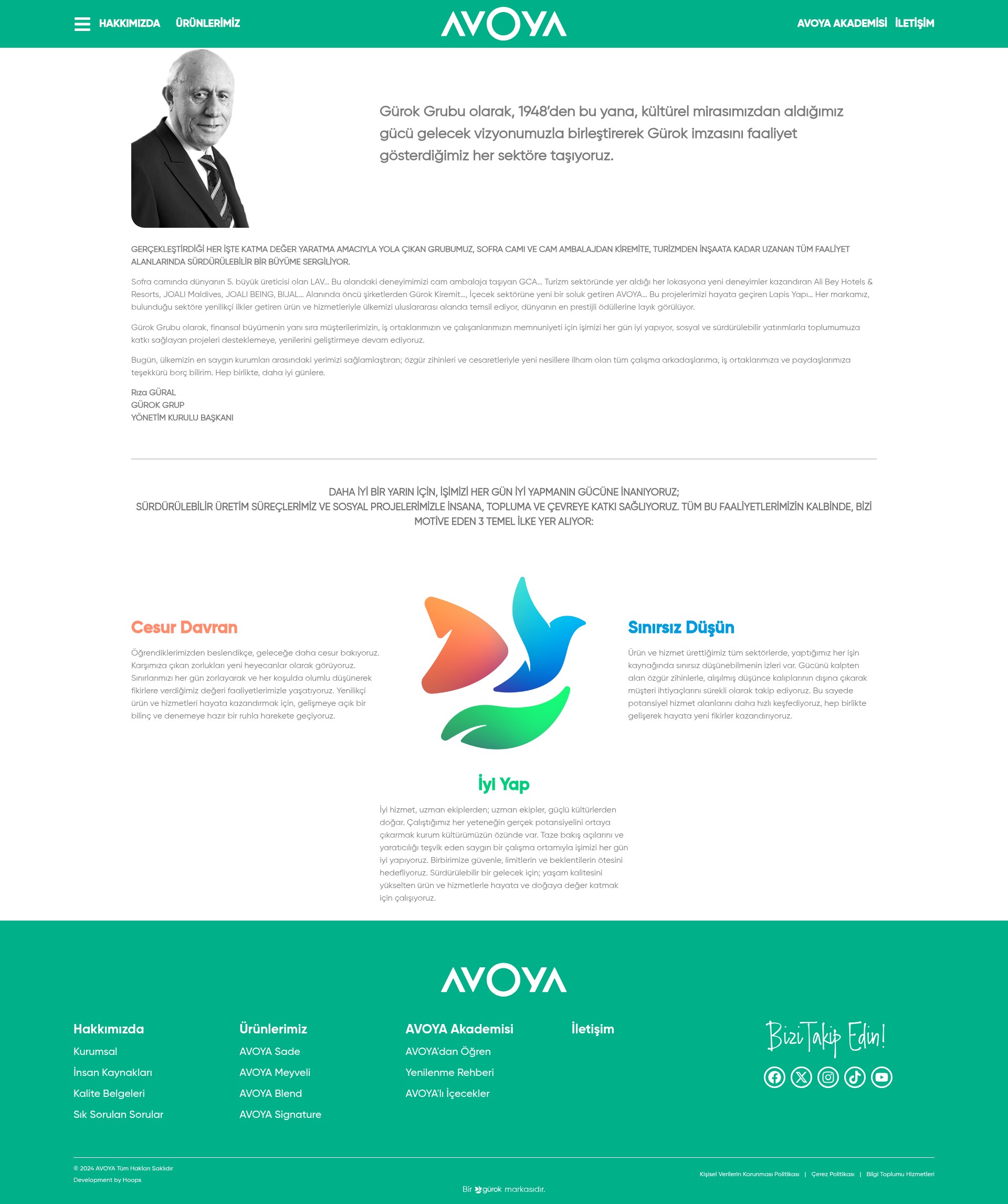 Screenshot of avoya.com.tr