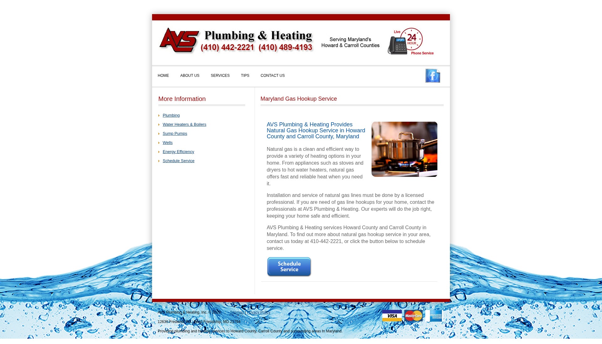 Screenshot of avsplumbing.com