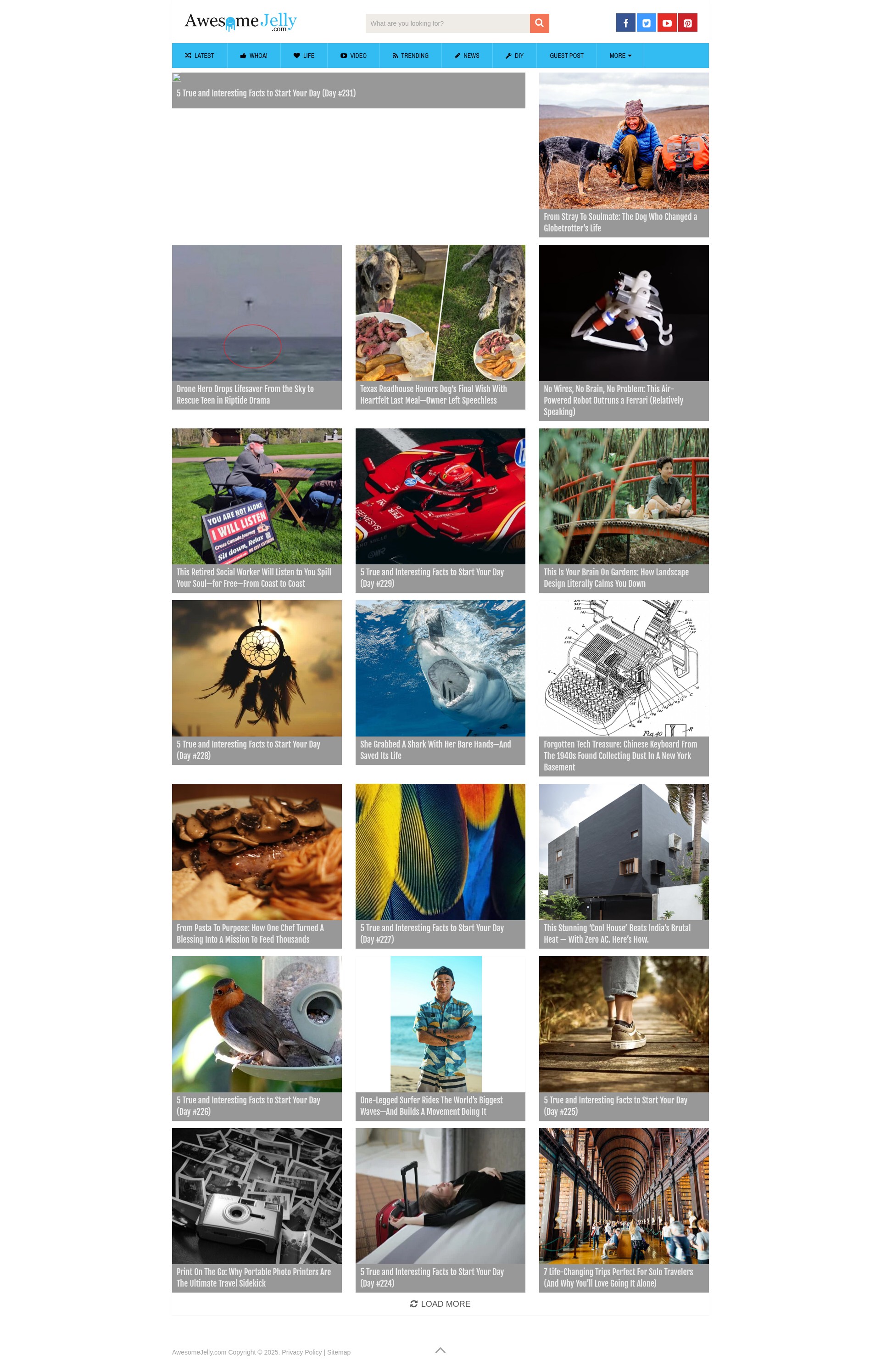 Screenshot of awesomejelly.com