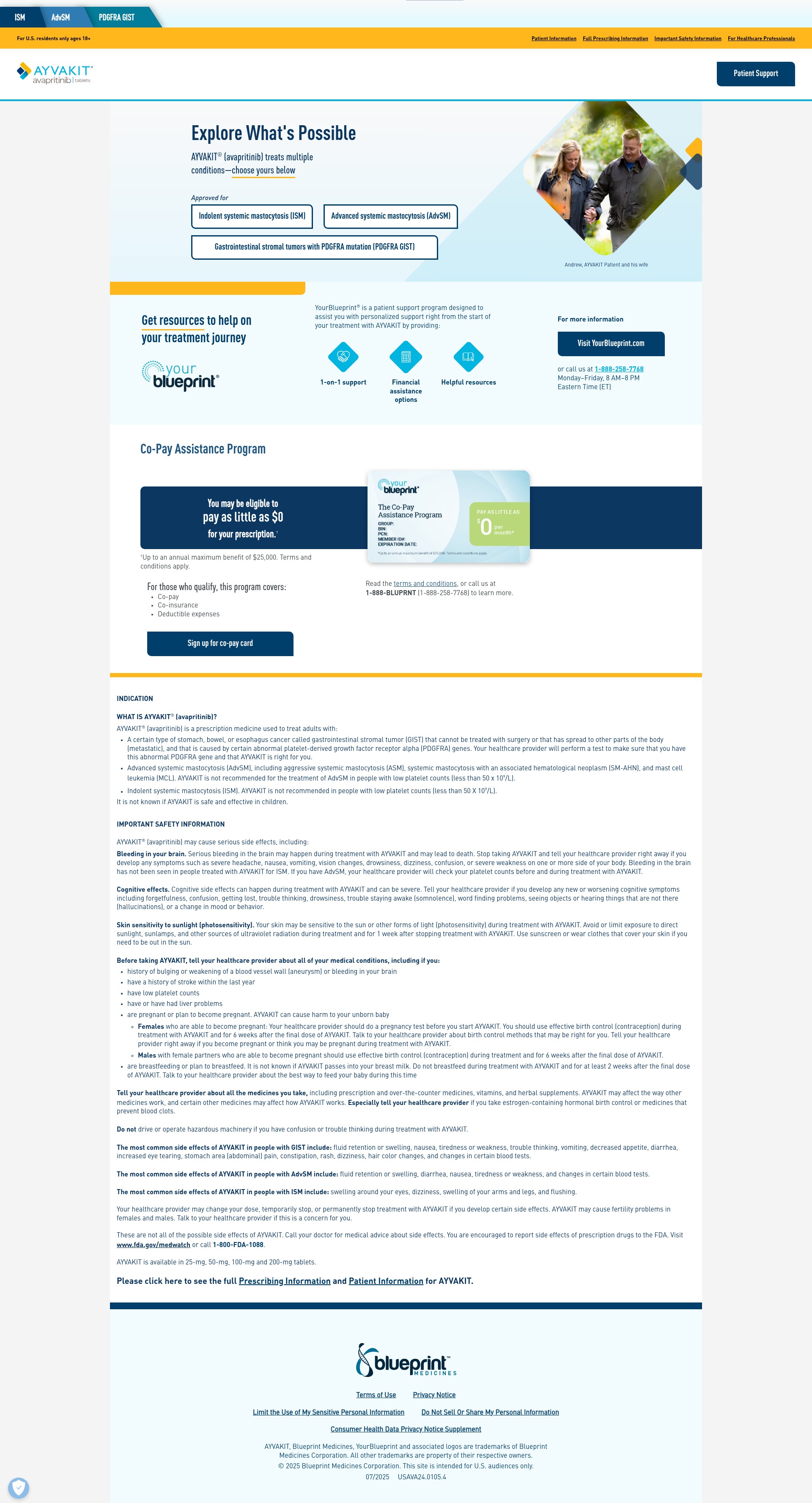 Screenshot of ayvakit.com