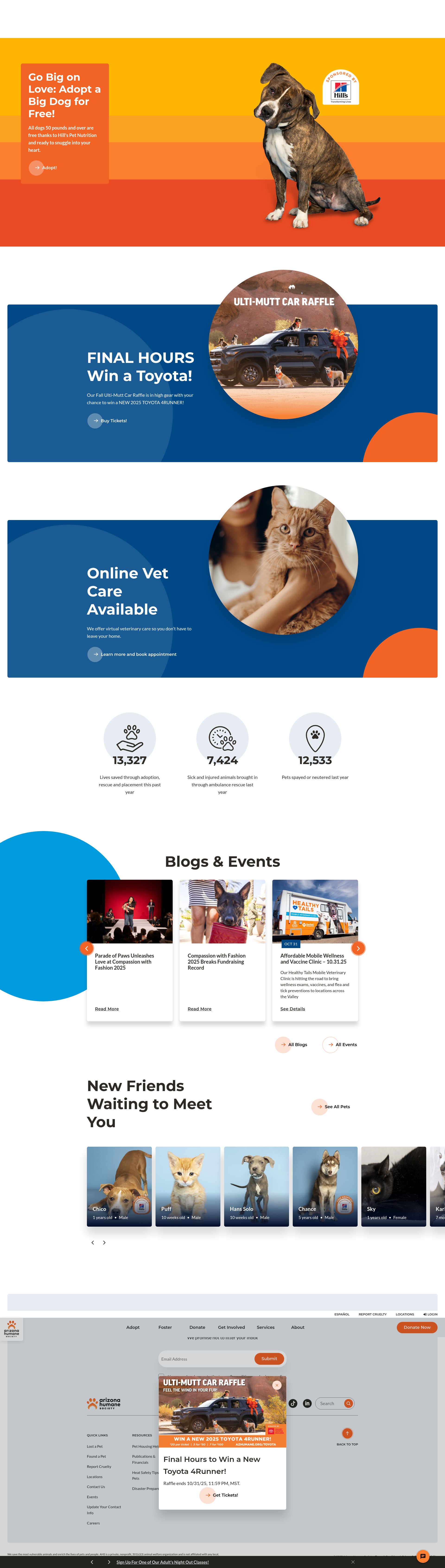 Screenshot of azhumane.org