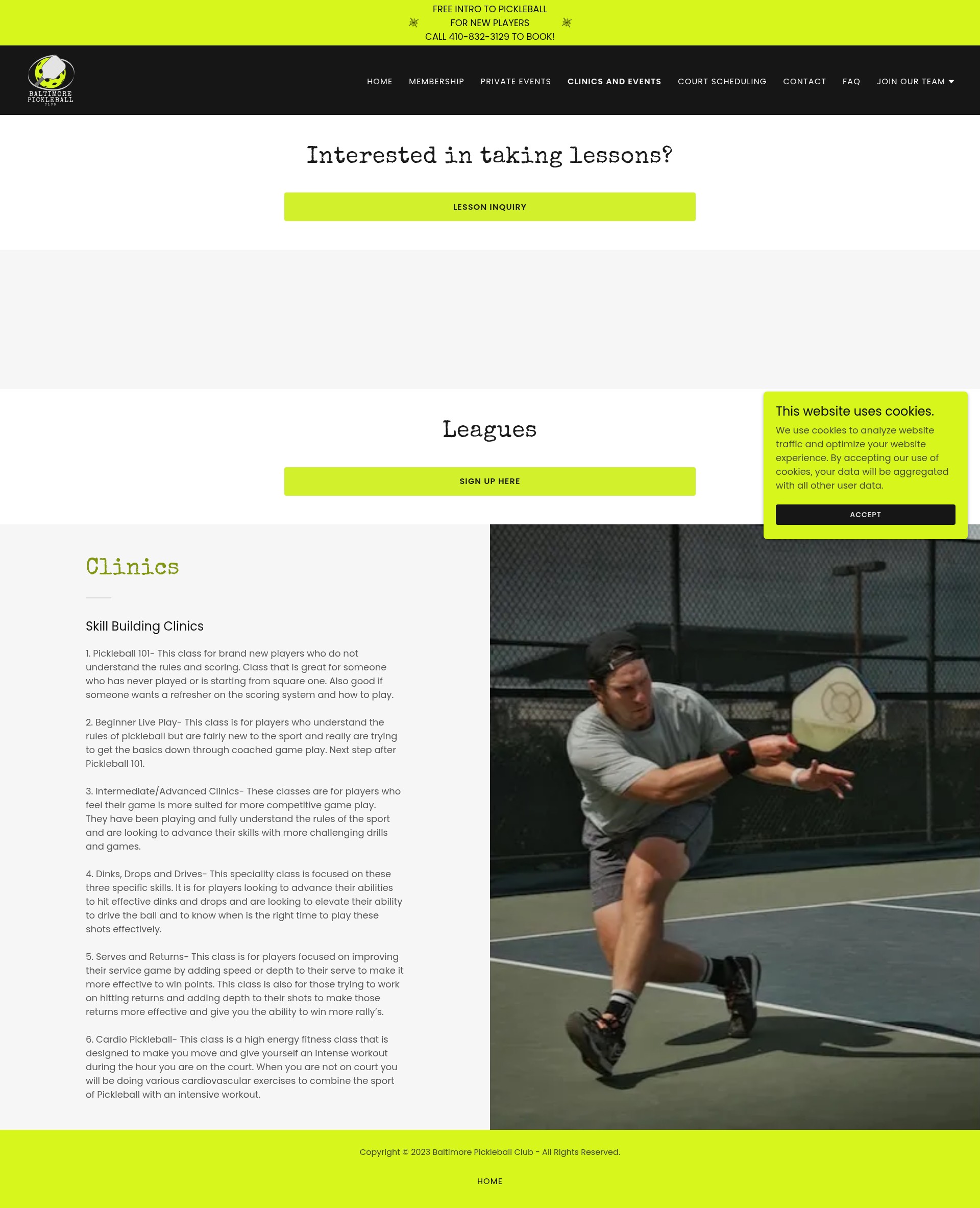 Screenshot of baltimorepickleballclub.com