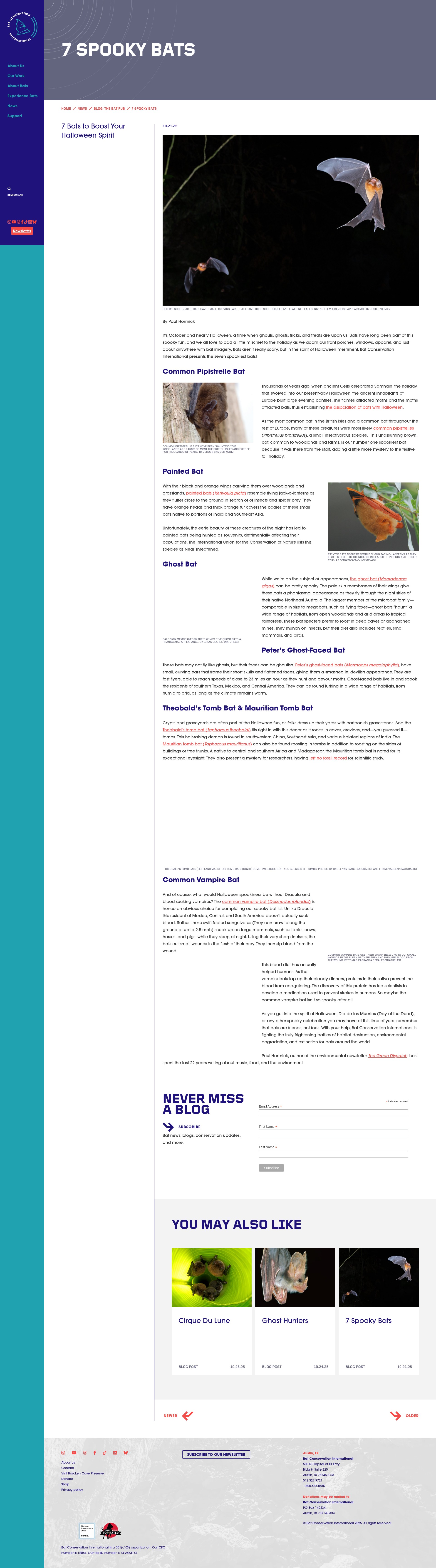 Screenshot of batcon.org
