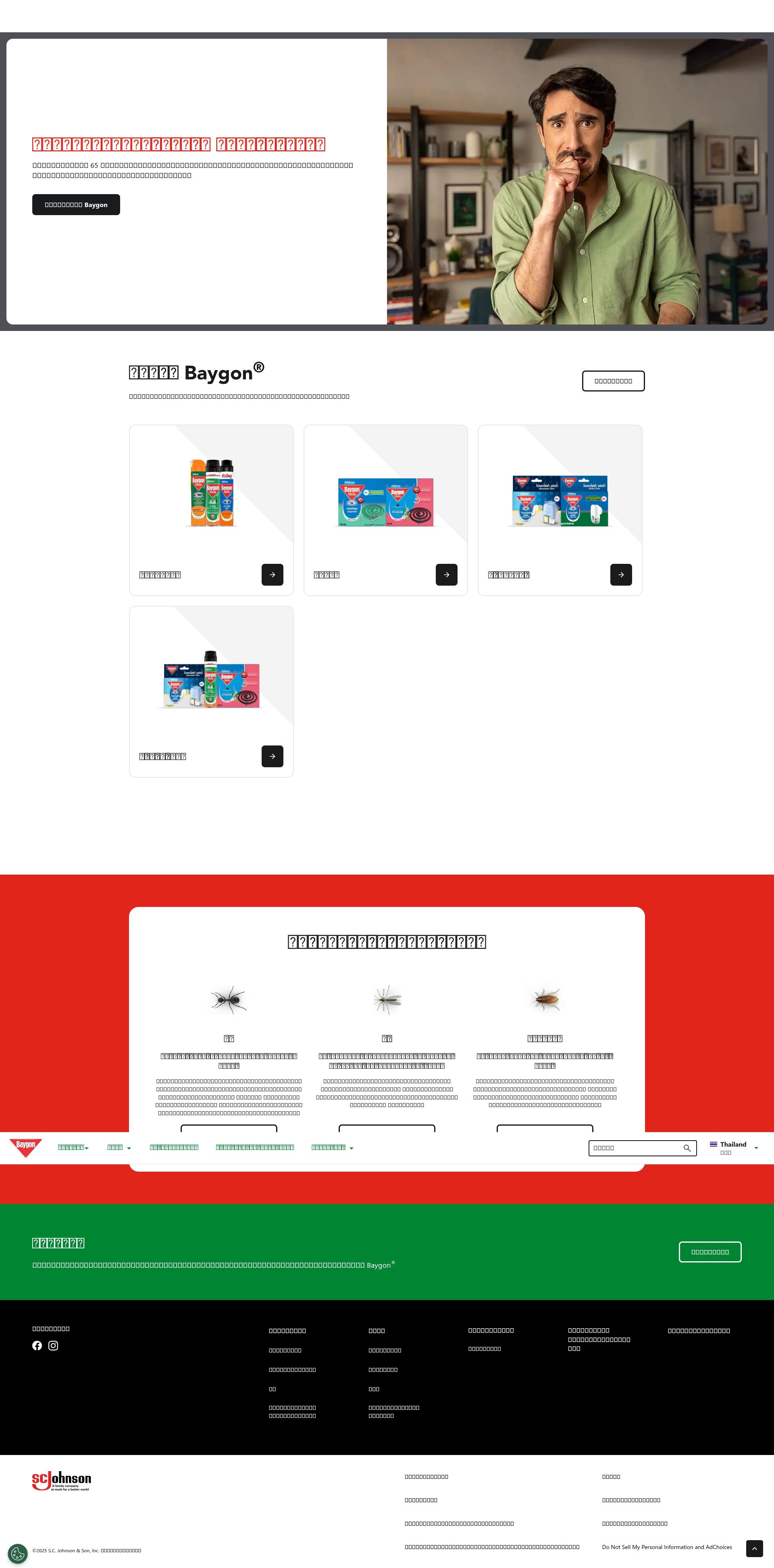 Screenshot of baygon.co.th