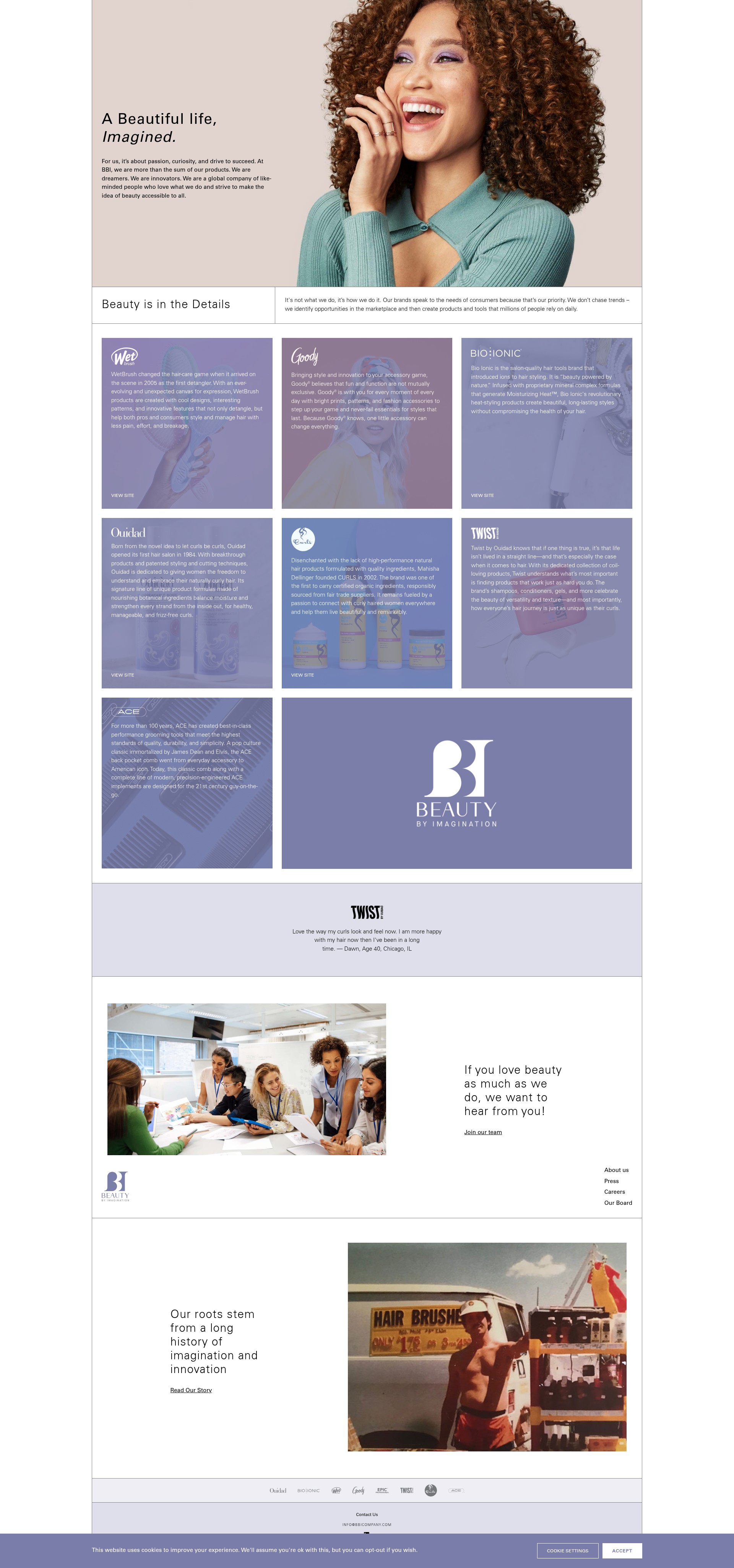 Screenshot of bbicompany.com