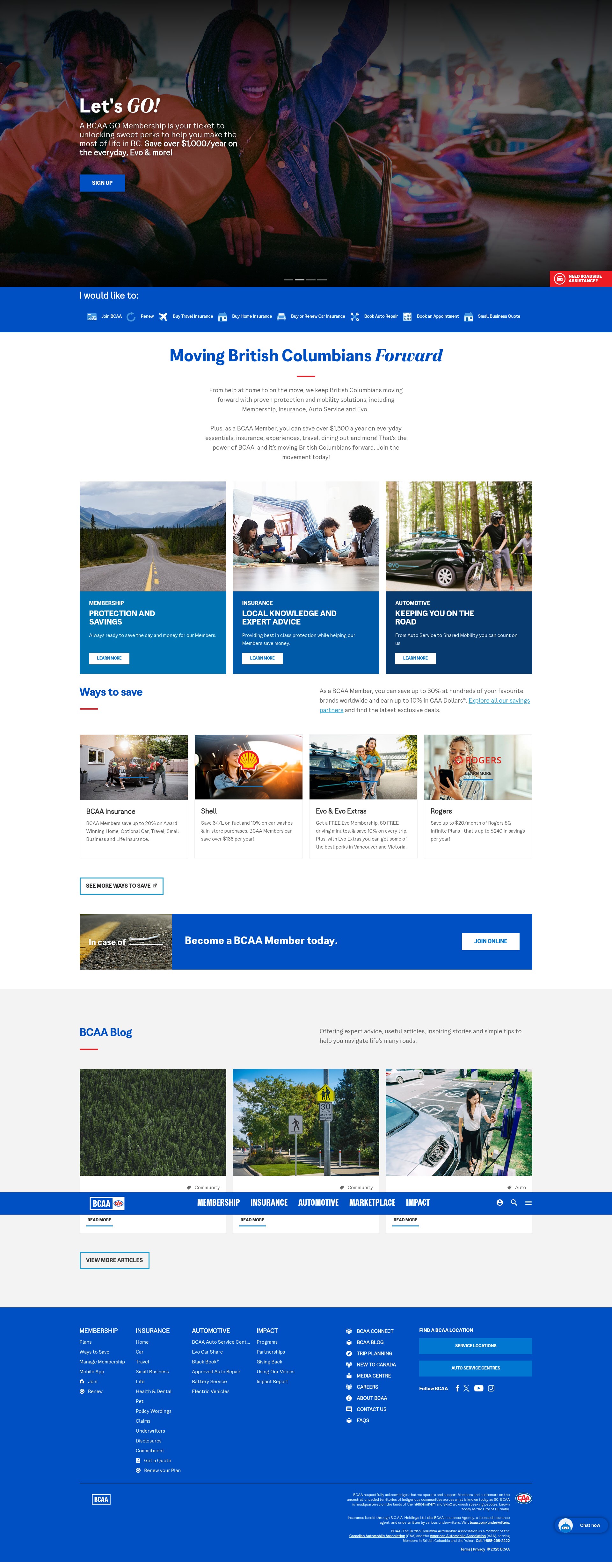 Screenshot of bcaa.com