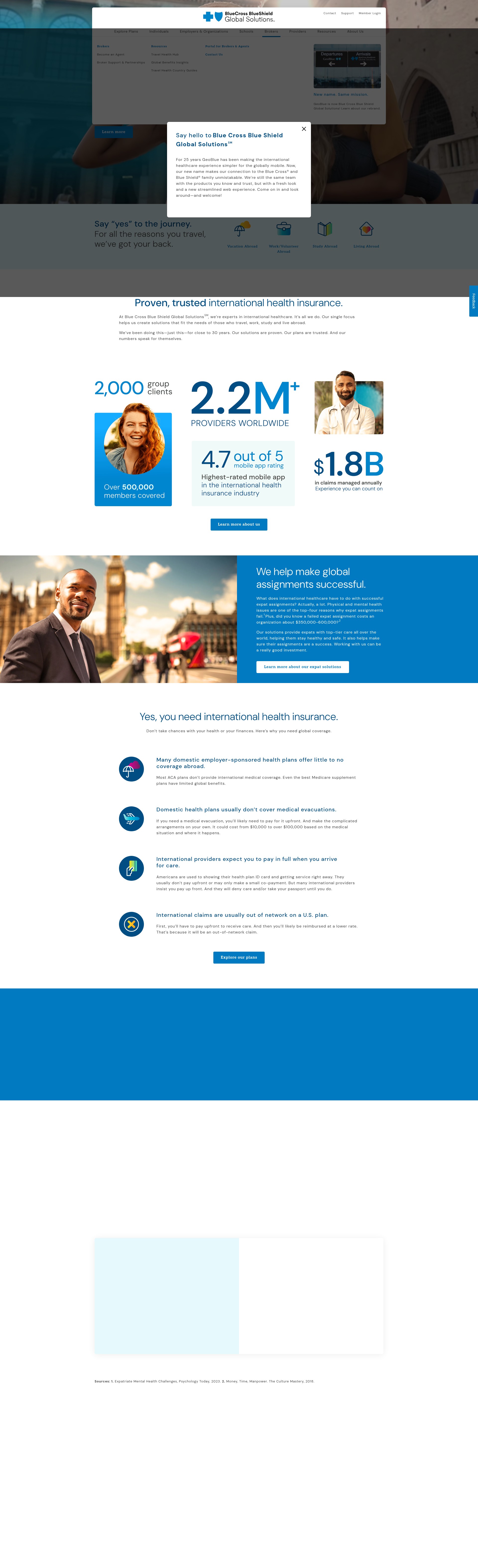 Screenshot of bcbsglobalsolutions.com