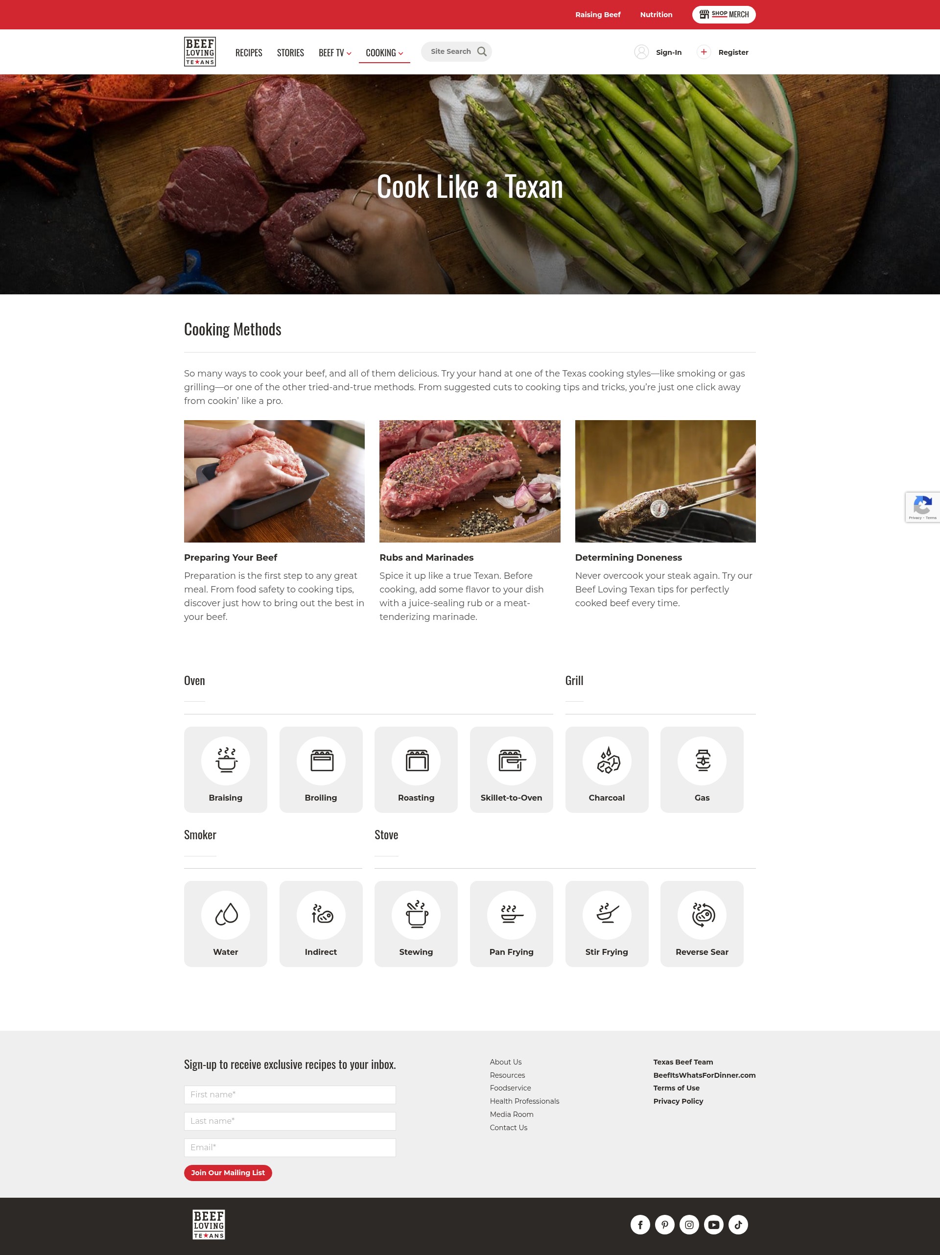 Screenshot of beeflovingtexans.com
