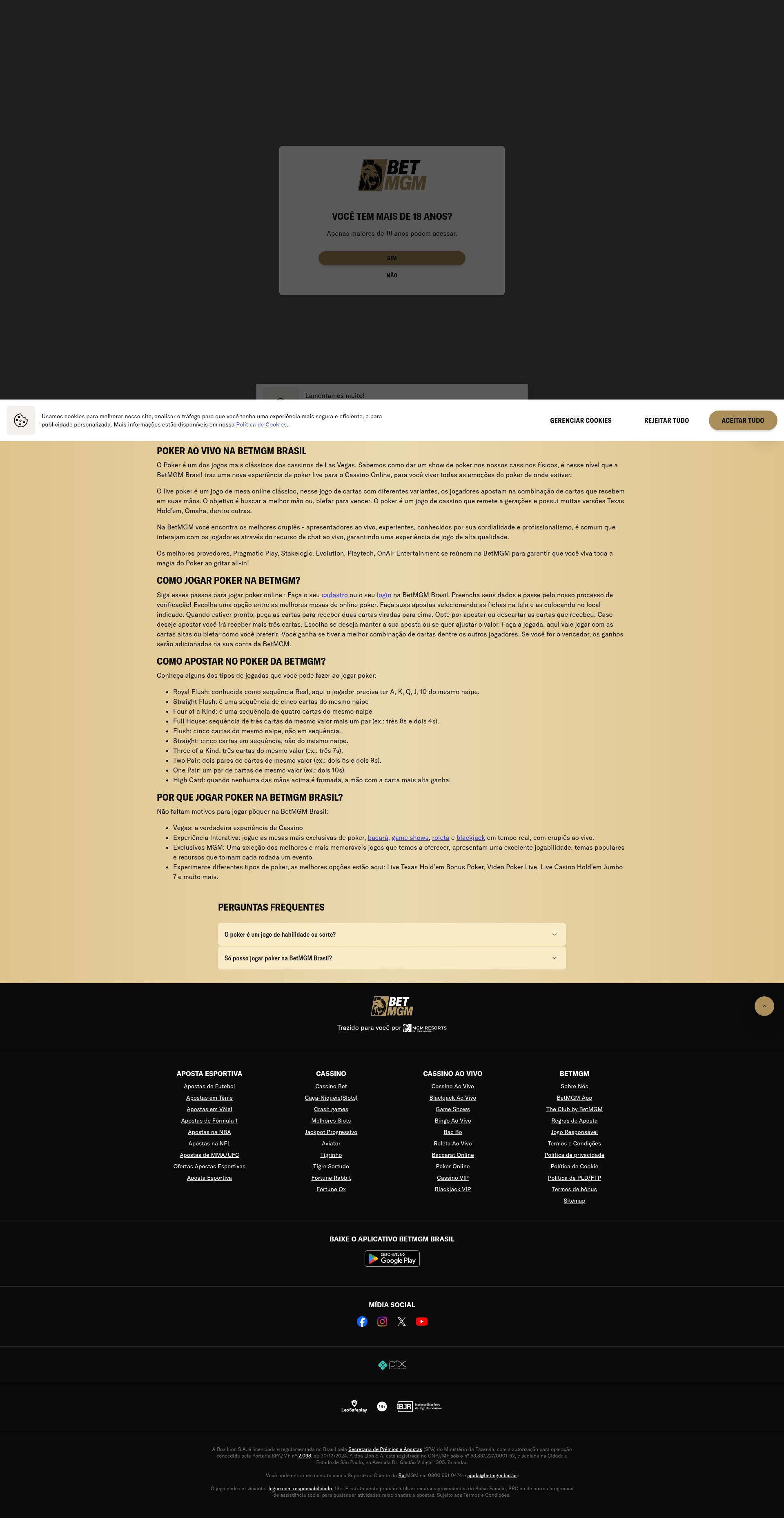 Screenshot of betmgm.bet.br