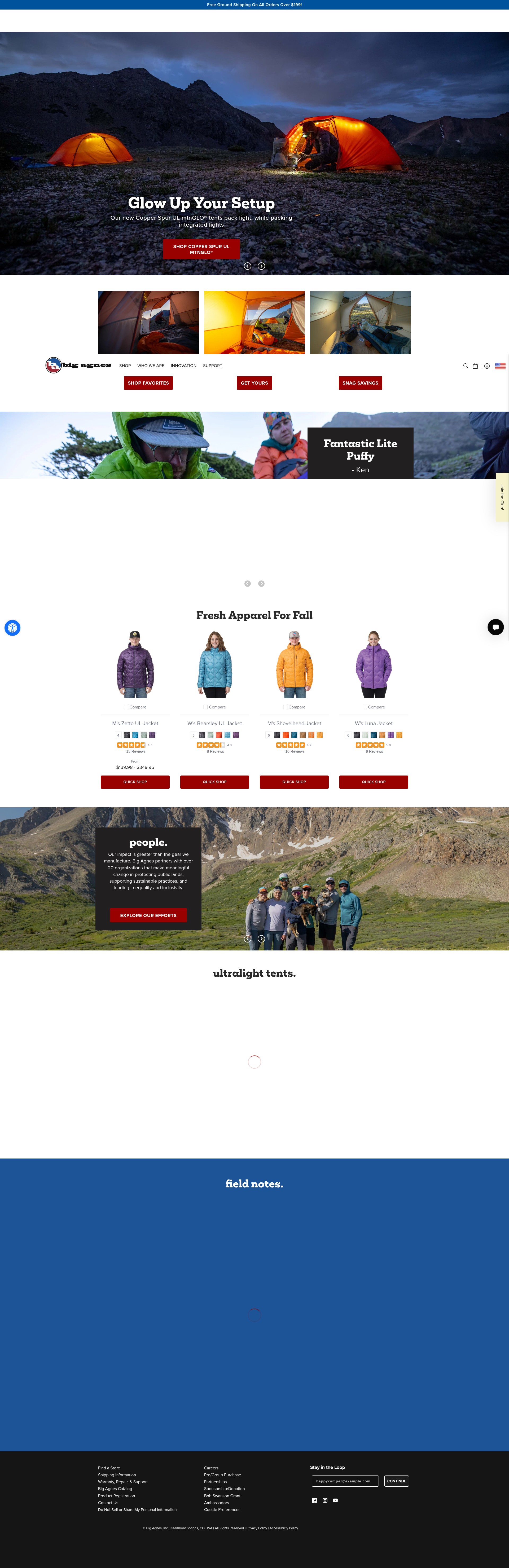 Screenshot of bigagnes.com