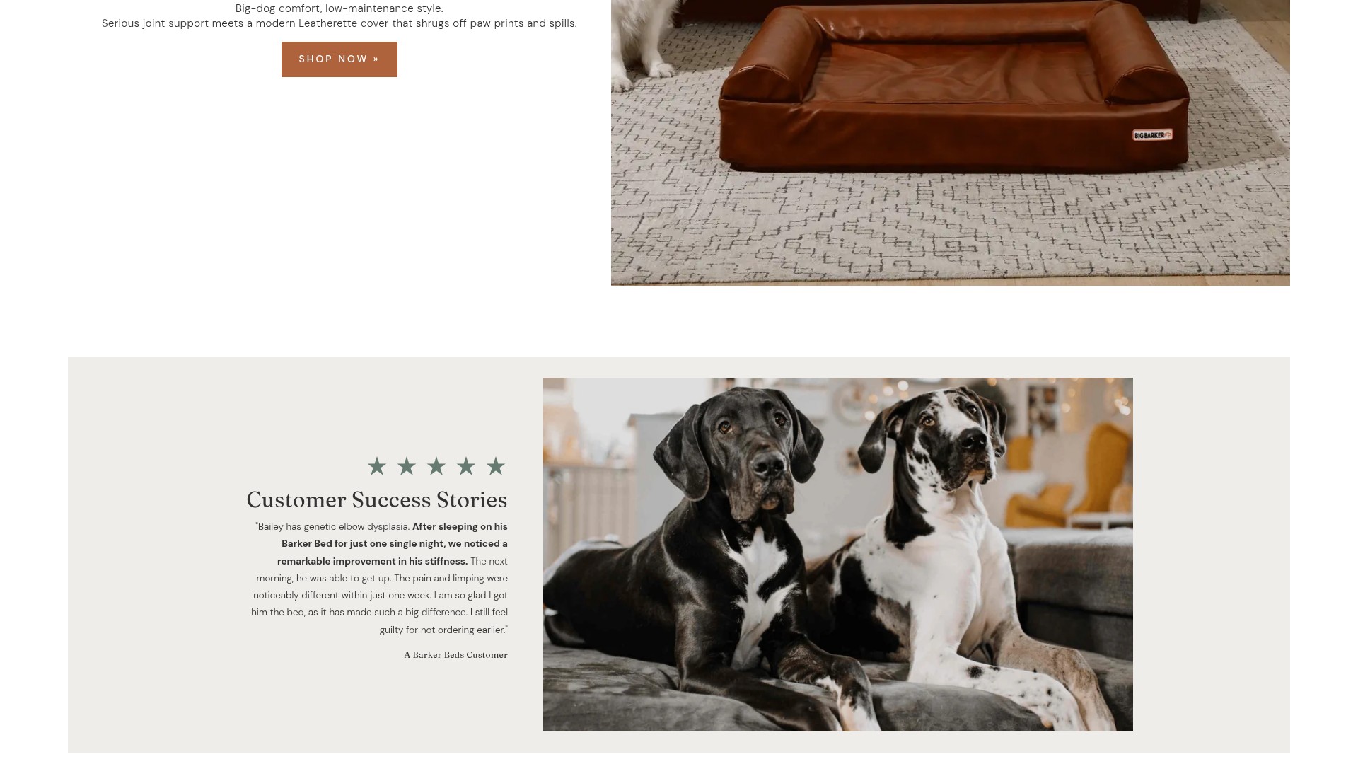 Screenshot of bigbarker.com