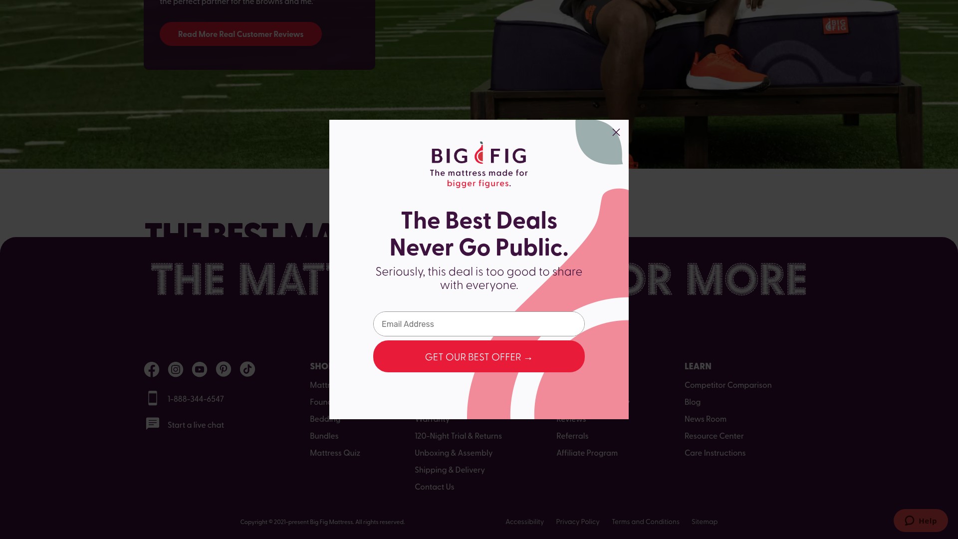Screenshot of bigfigmattress.com