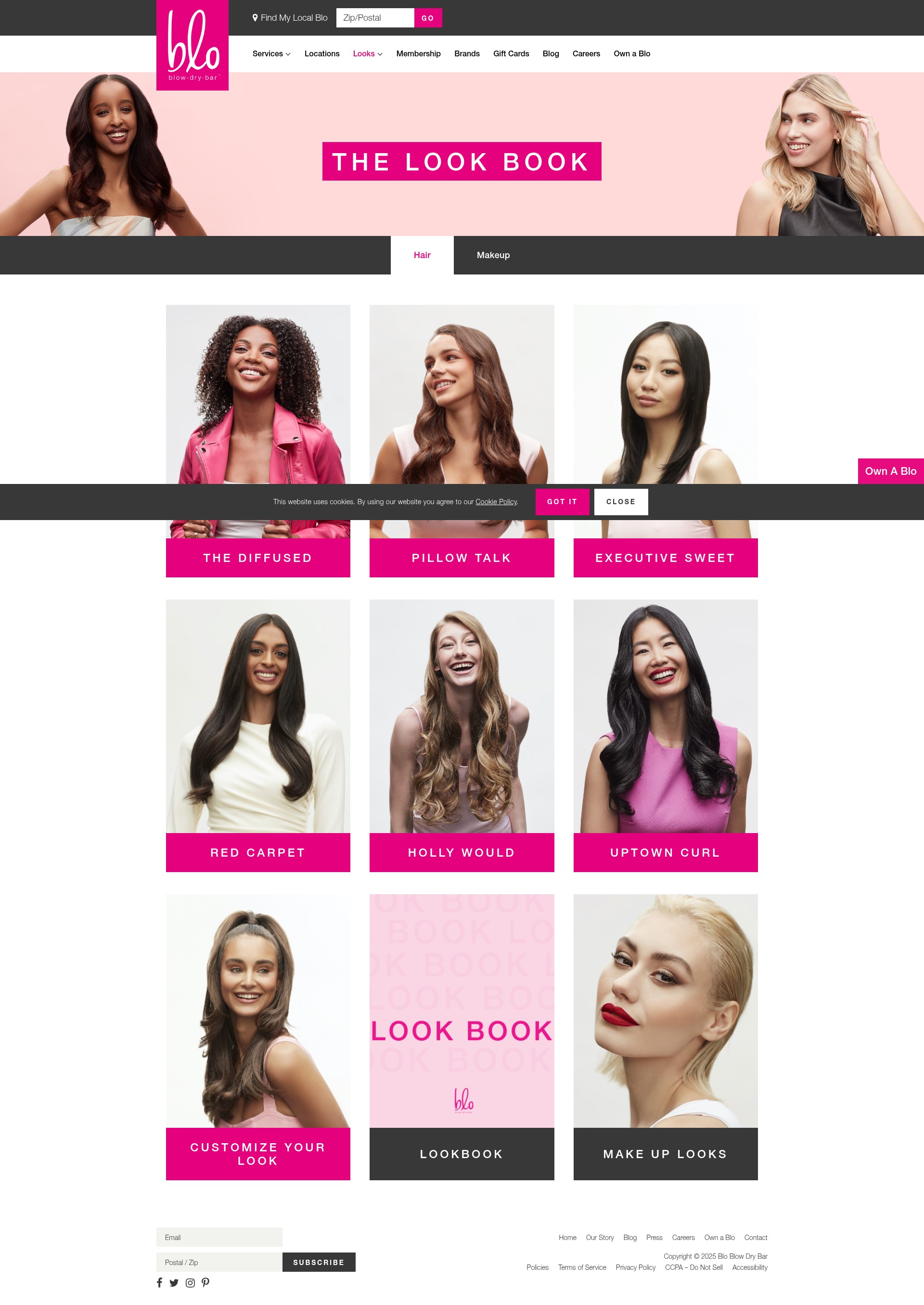 Screenshot of blomedry.com