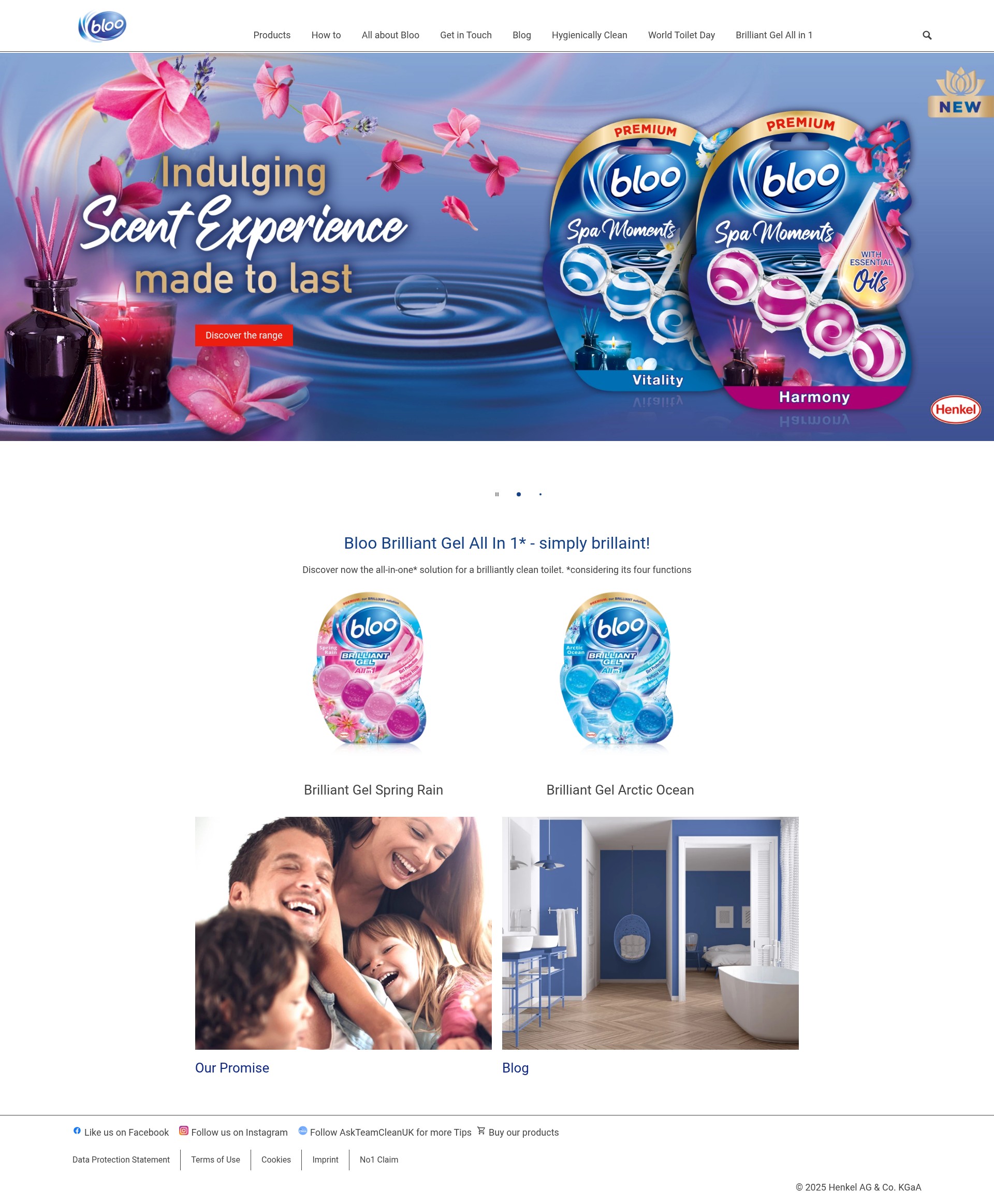 Screenshot of bloo.com