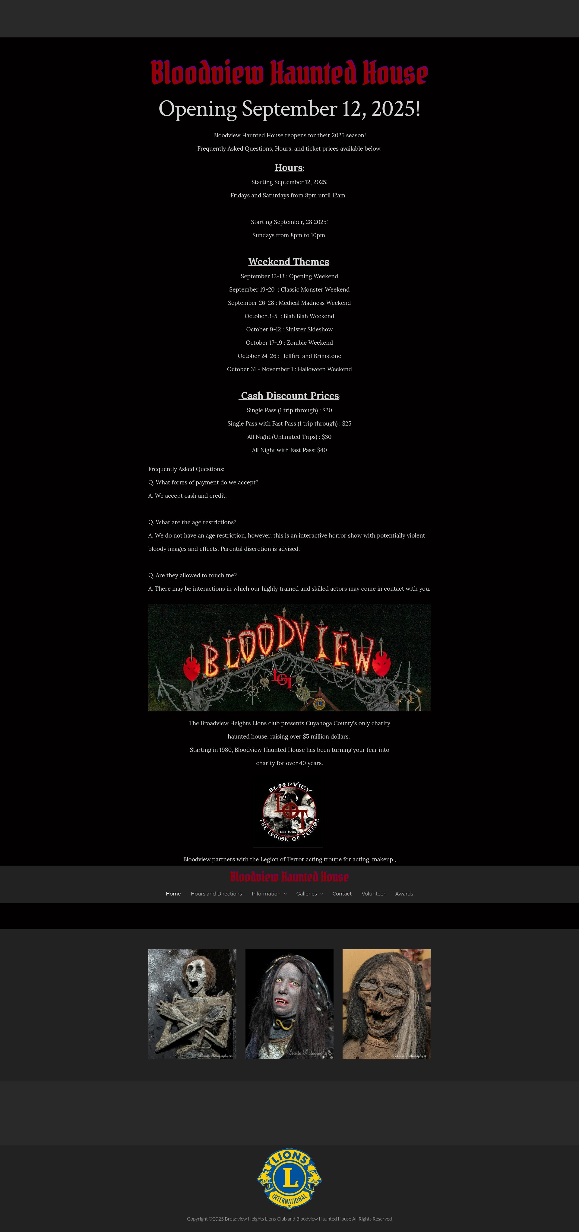 Screenshot of bloodview.org
