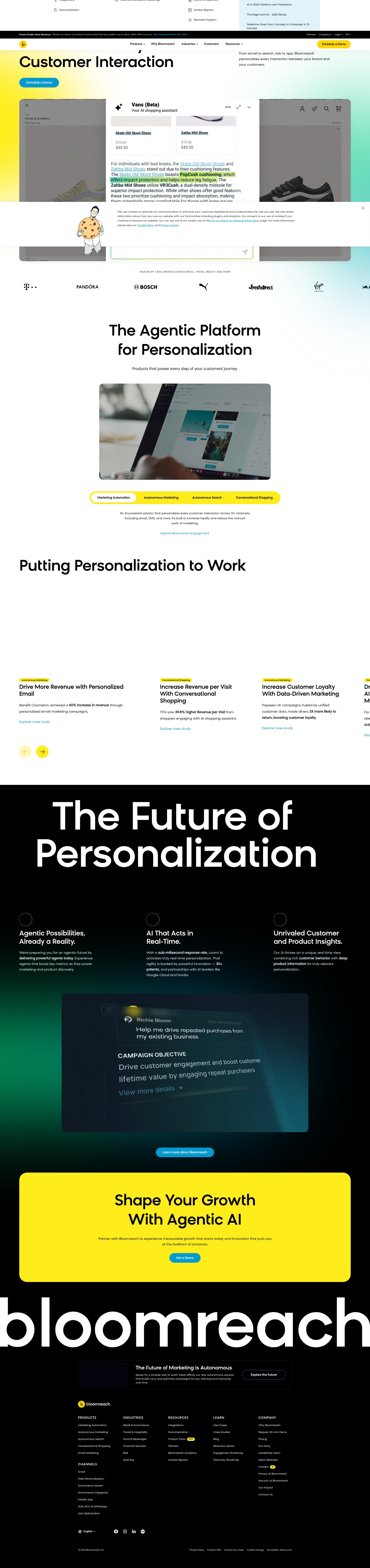 Screenshot of bloomreach.com