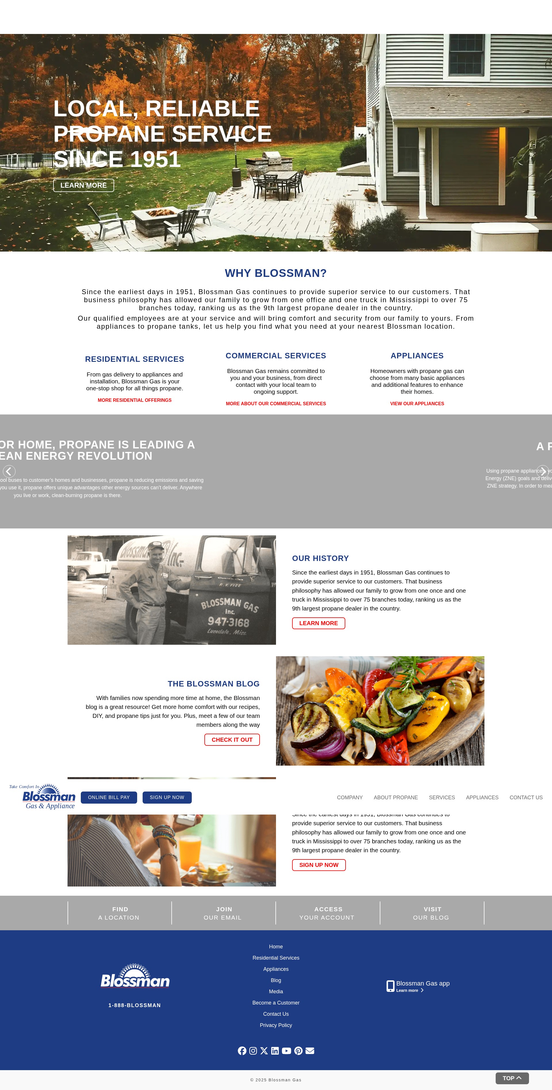 Screenshot of blossmangas.com