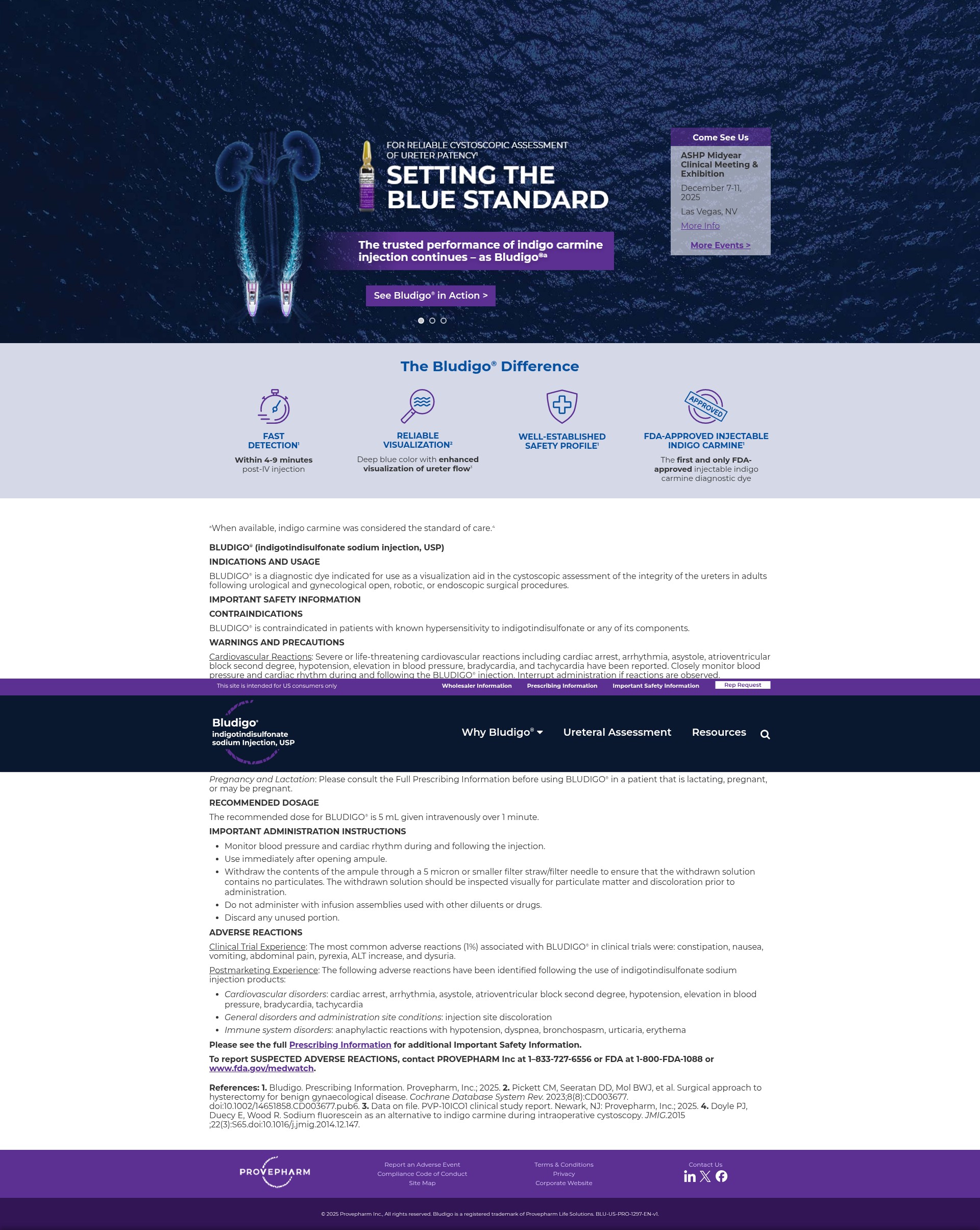 Screenshot of bludigo.com