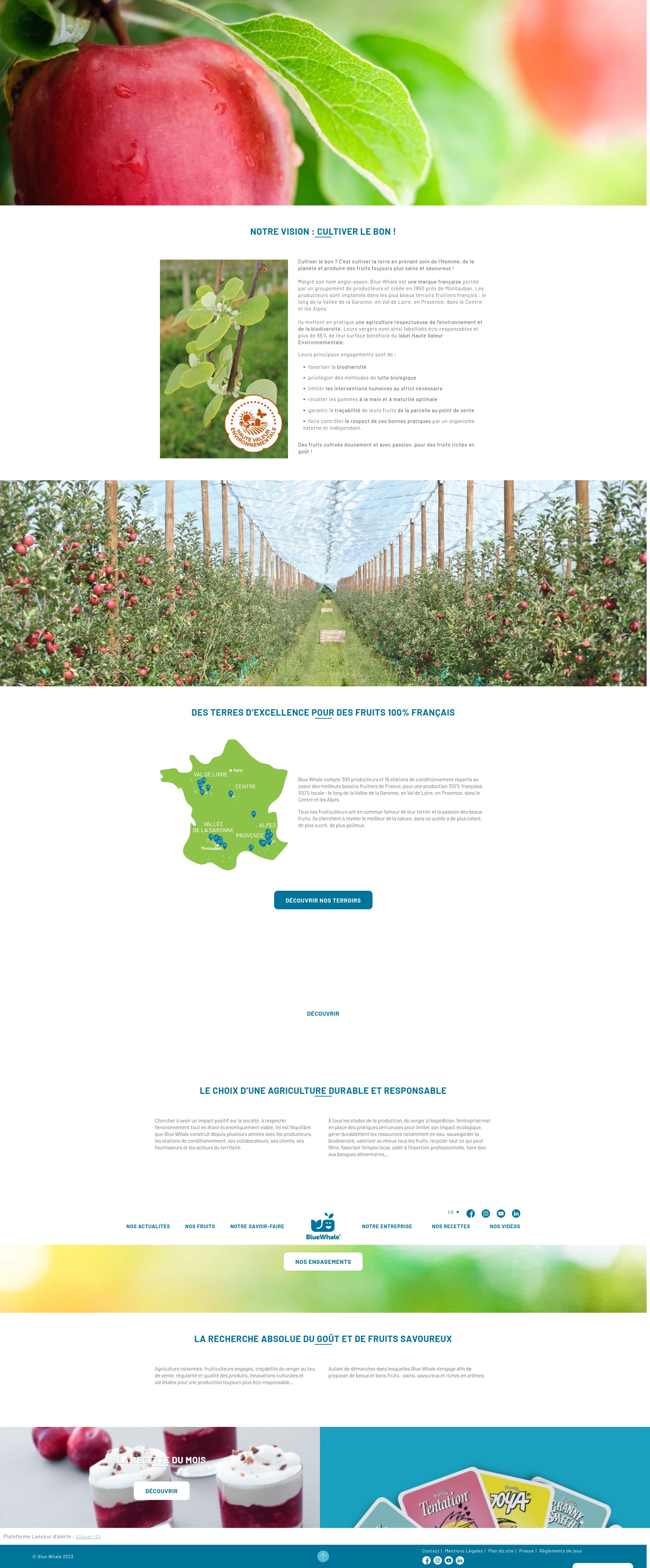 Screenshot of blue-whale.com