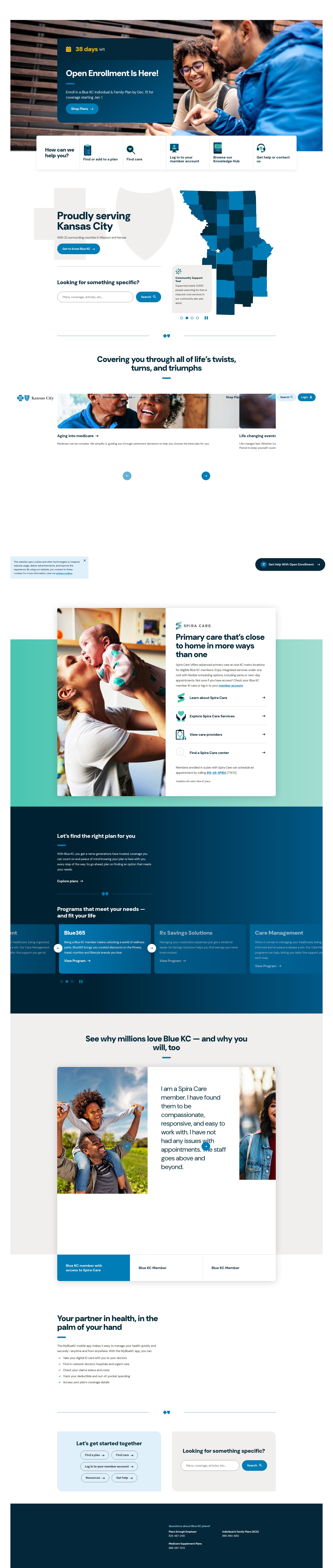 Screenshot of bluekc.com