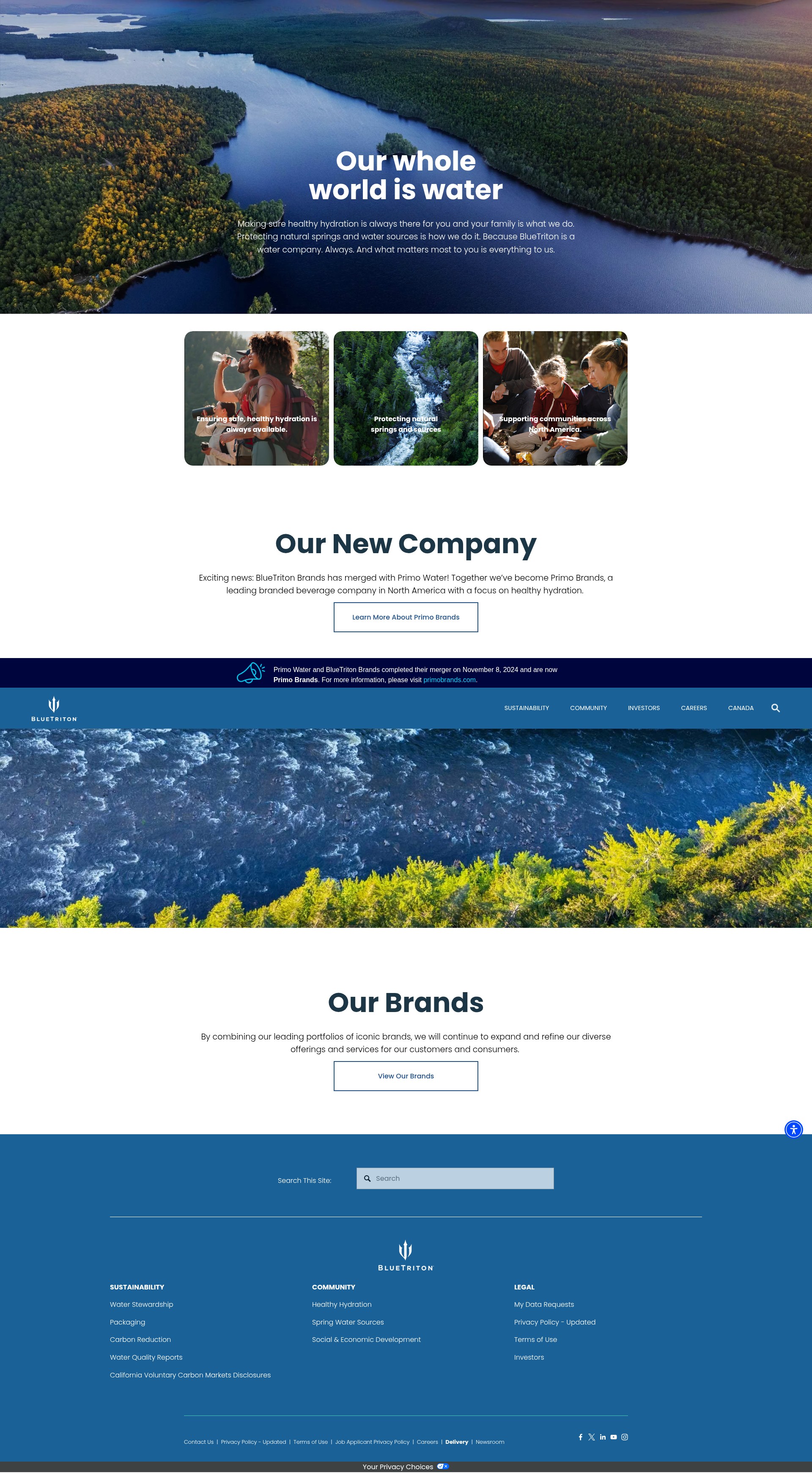 Screenshot of bluetriton.com