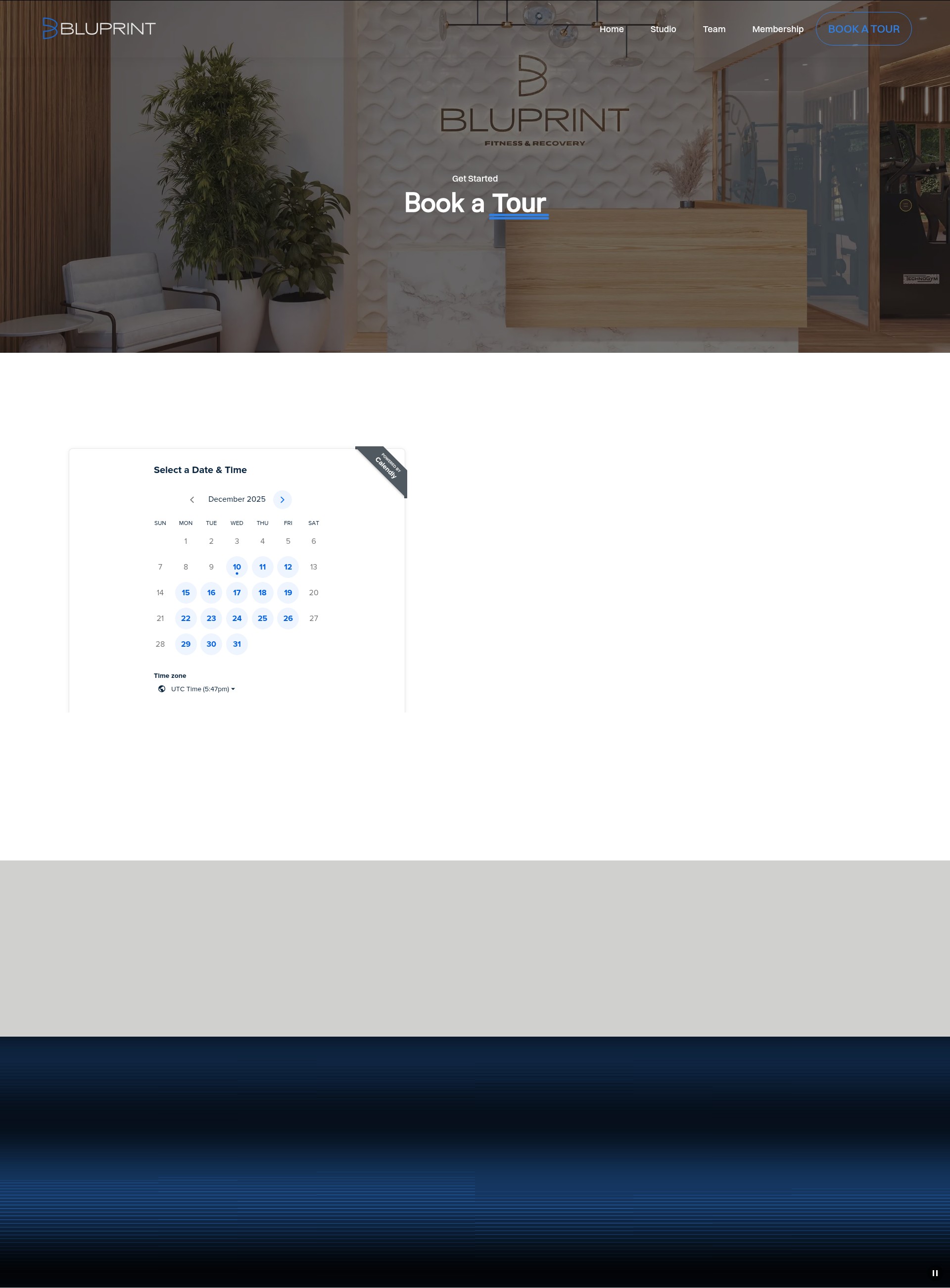 Screenshot of bluprintwellness.com