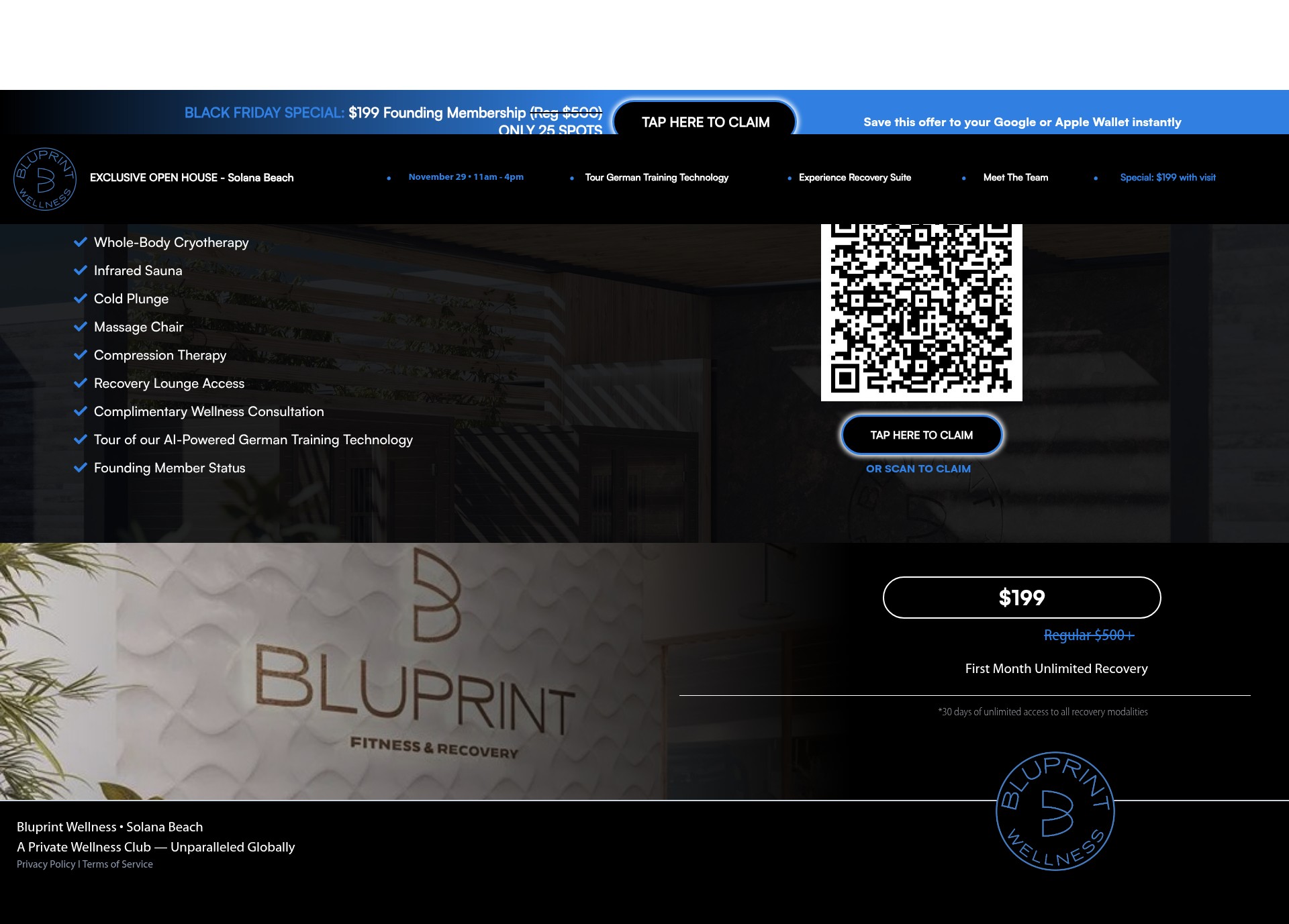 Screenshot of bluprintwellness.site