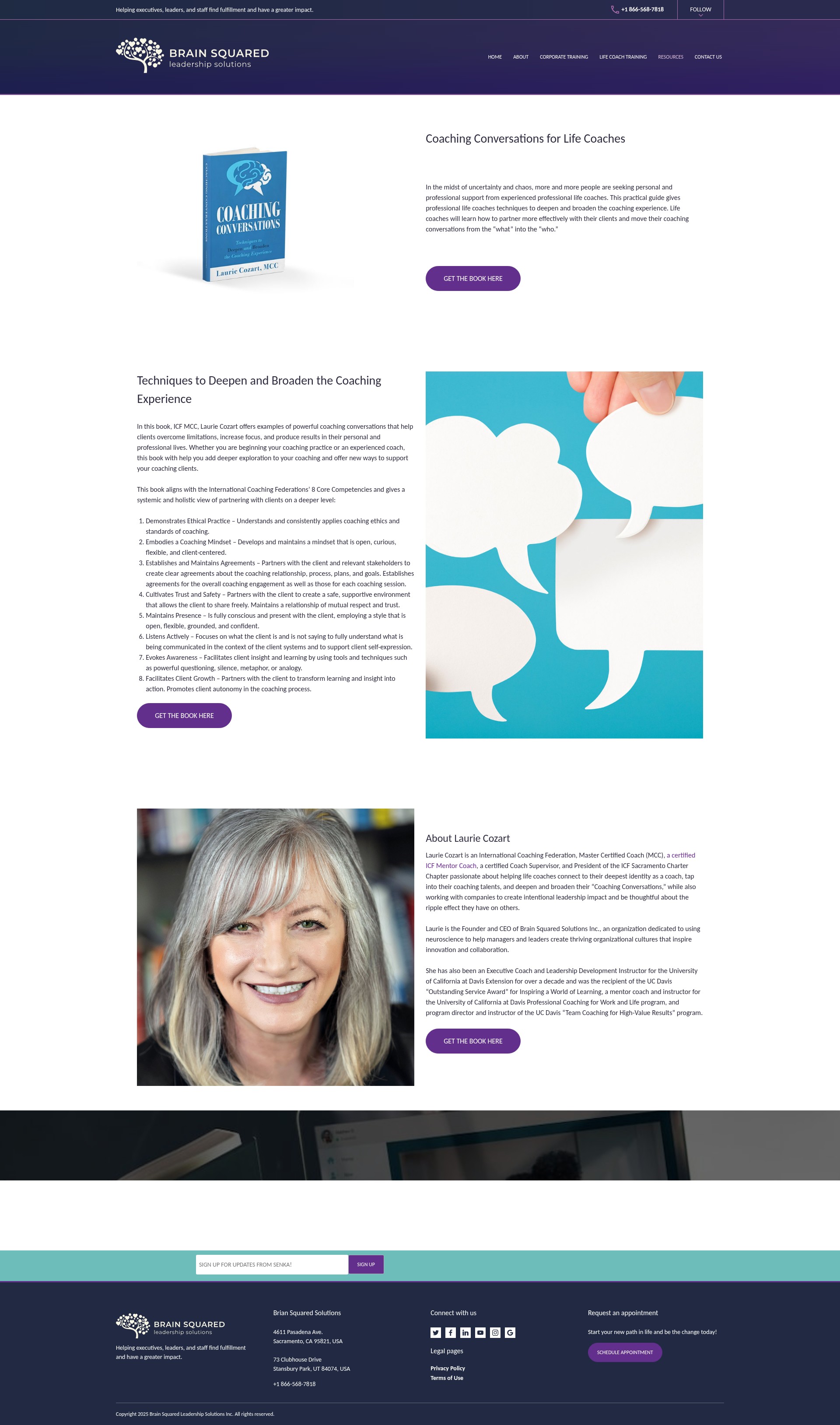 Screenshot of brainsquaredsolutions.com