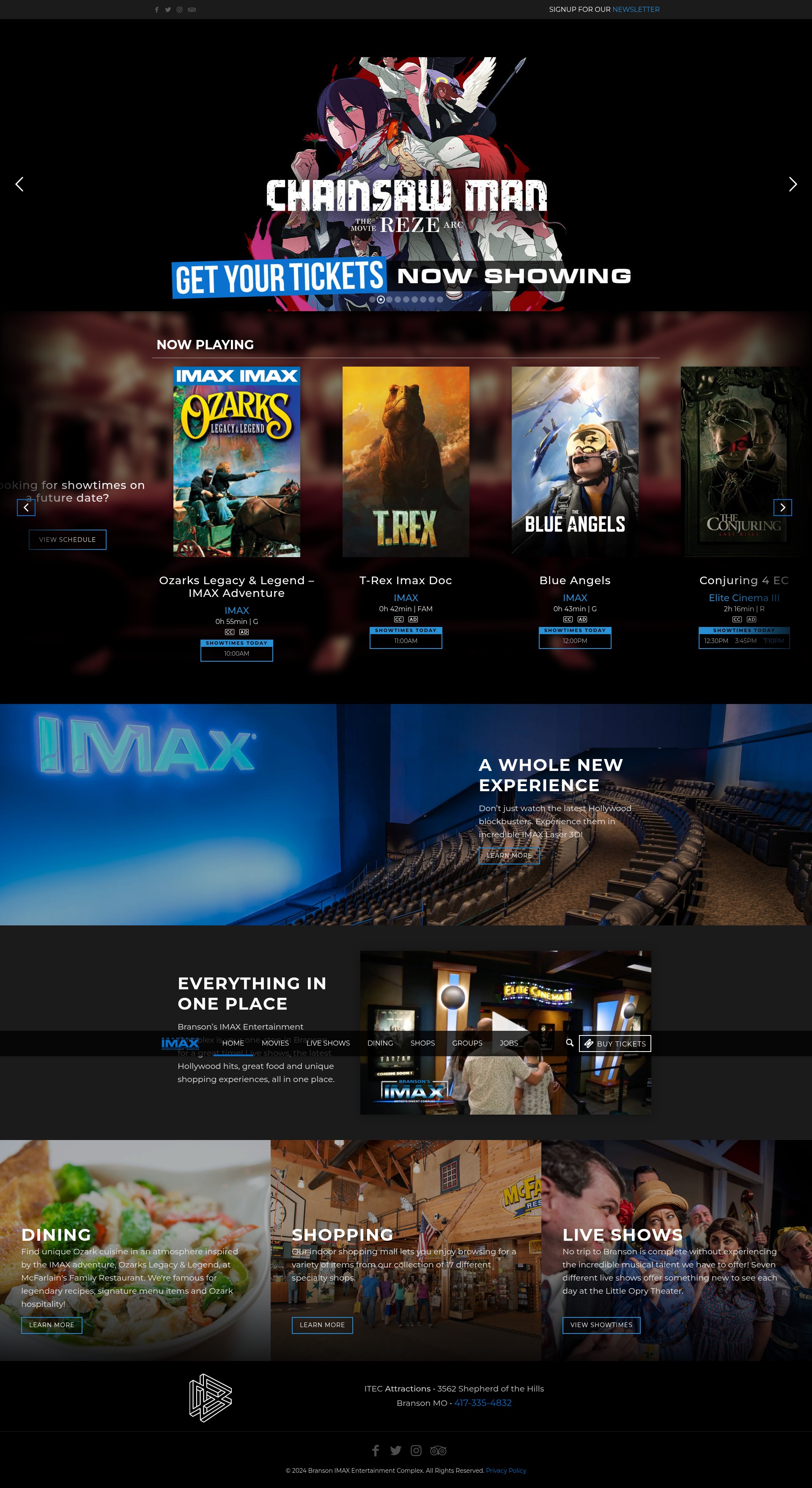 Screenshot of bransonimax.com