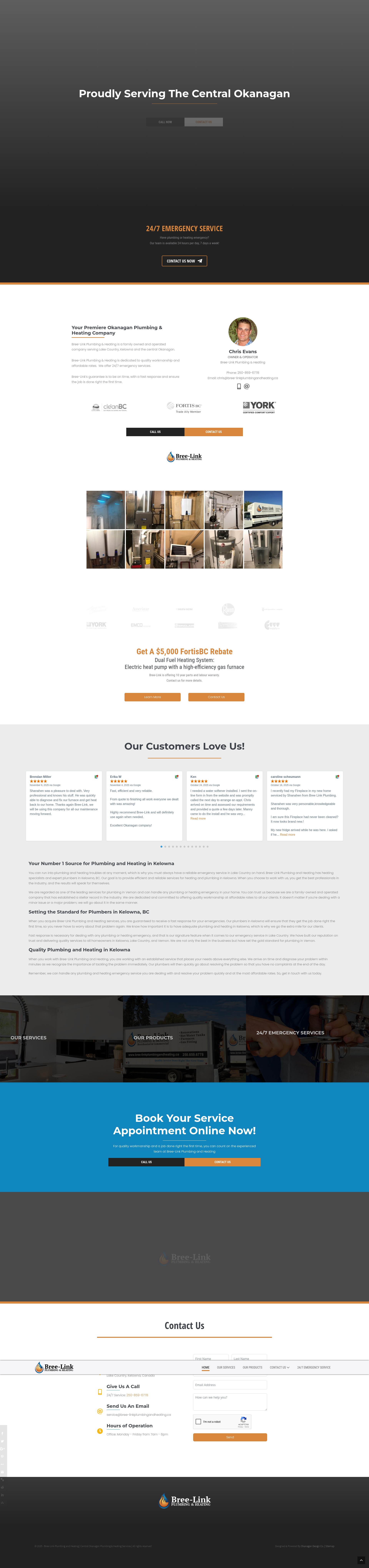 Screenshot of bree-linkplumbingandheating.ca