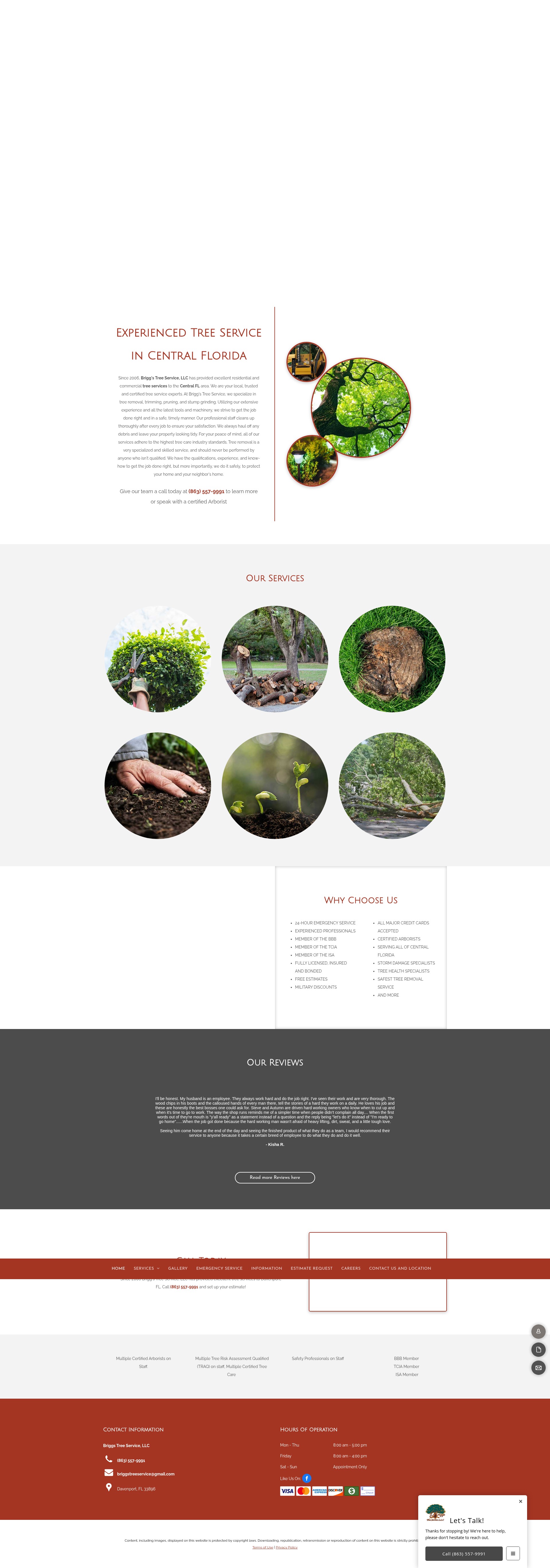 Screenshot of briggstreeexperts.com