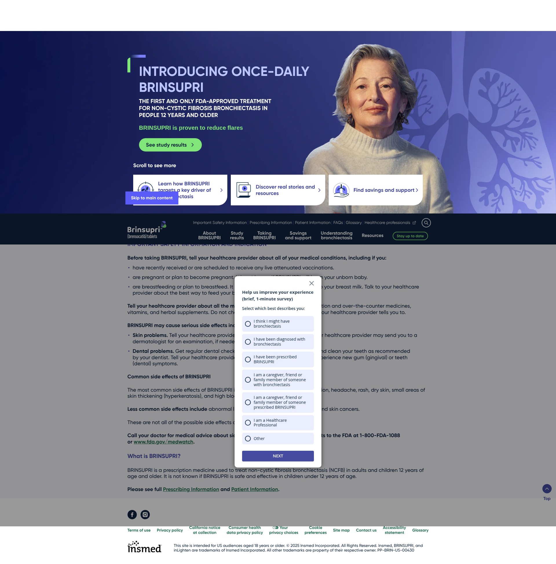 Screenshot of brinsupri.com