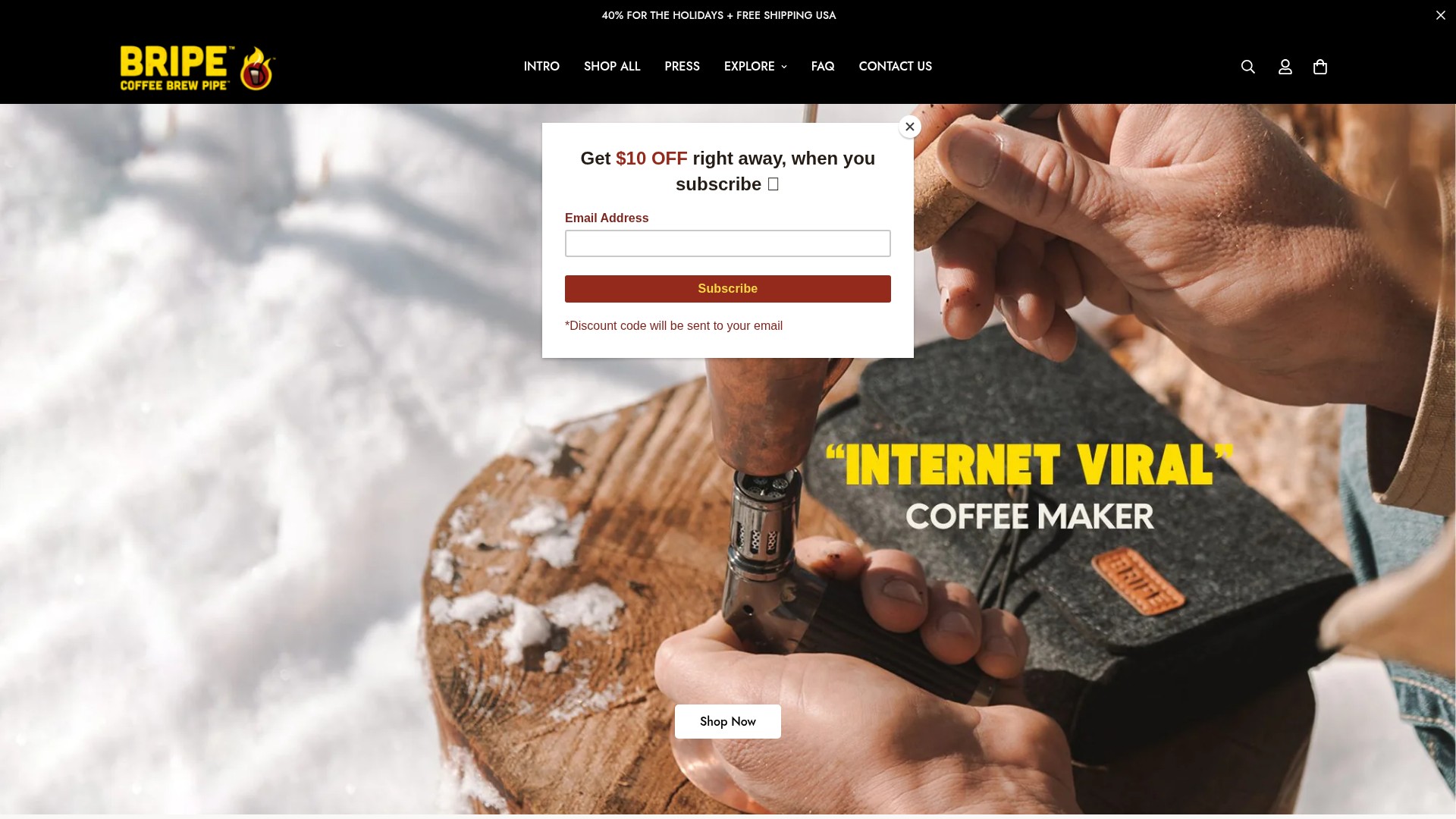 Screenshot of briping.com