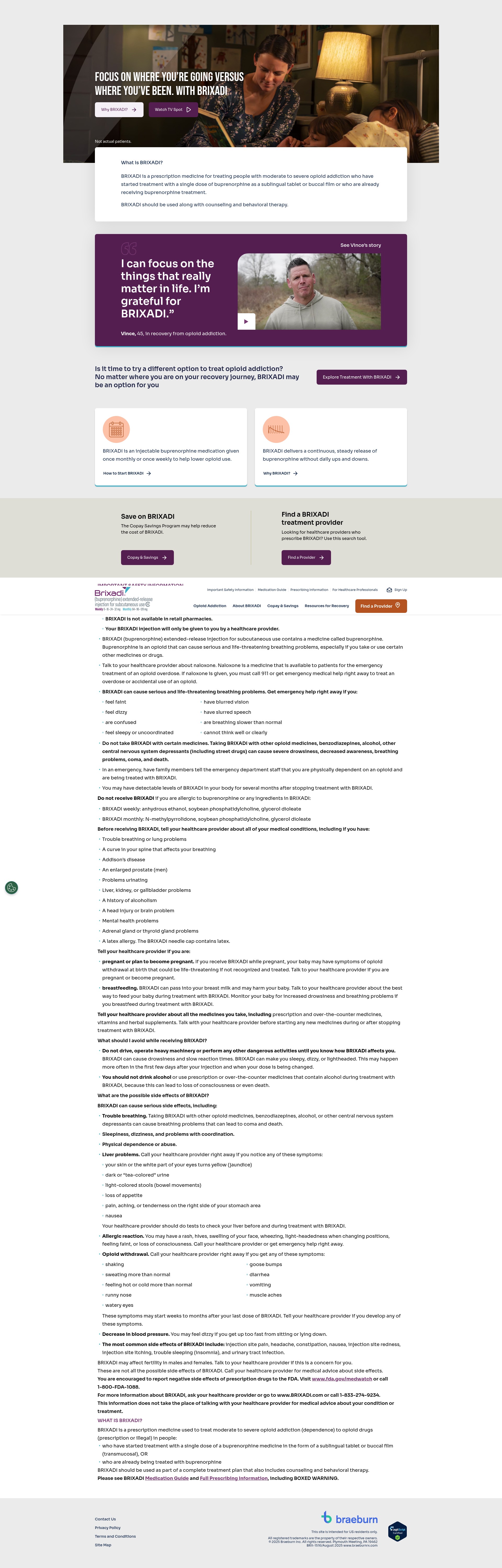 Screenshot of brixadi.com