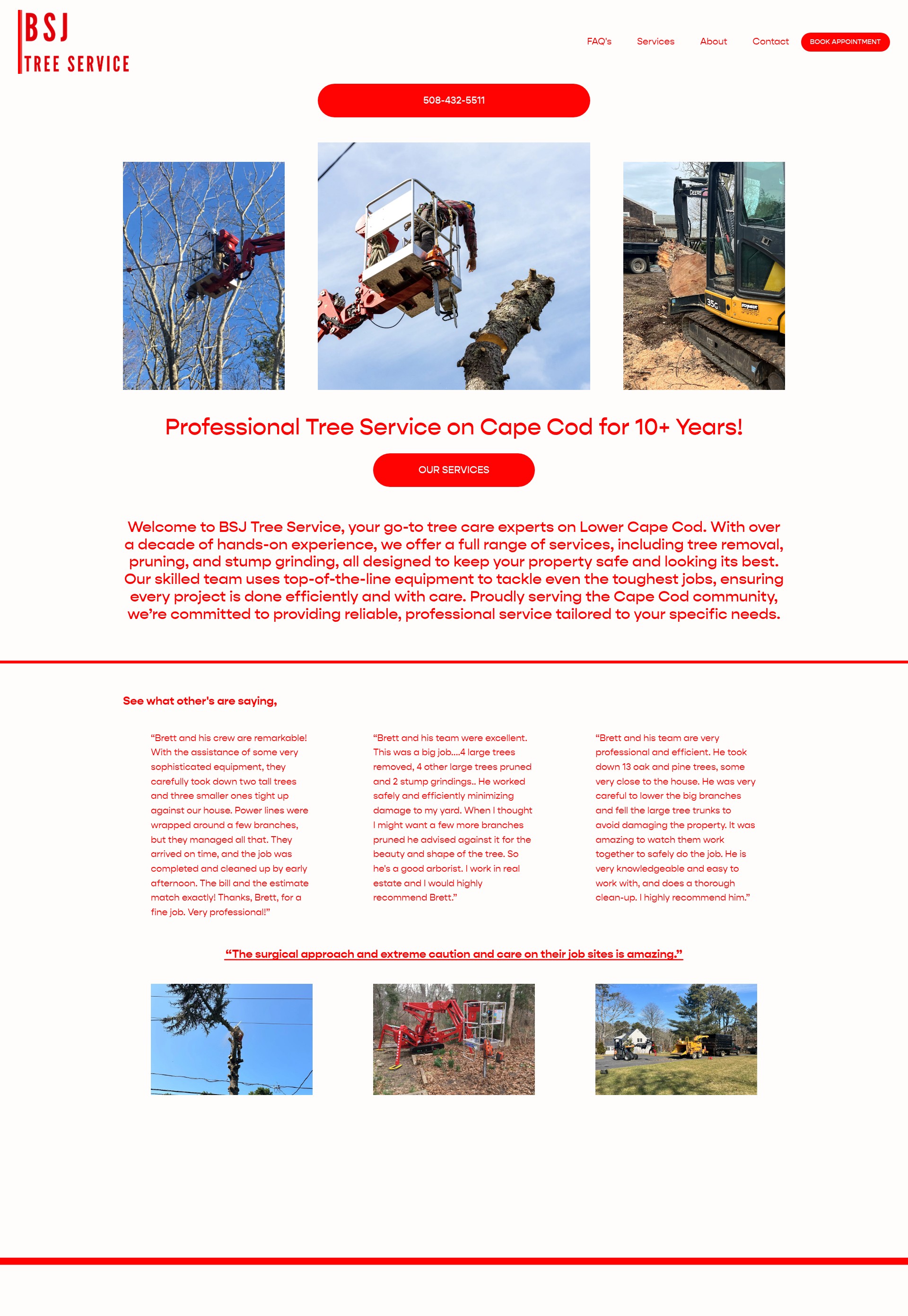 Screenshot of bsjcapetreeservice.com