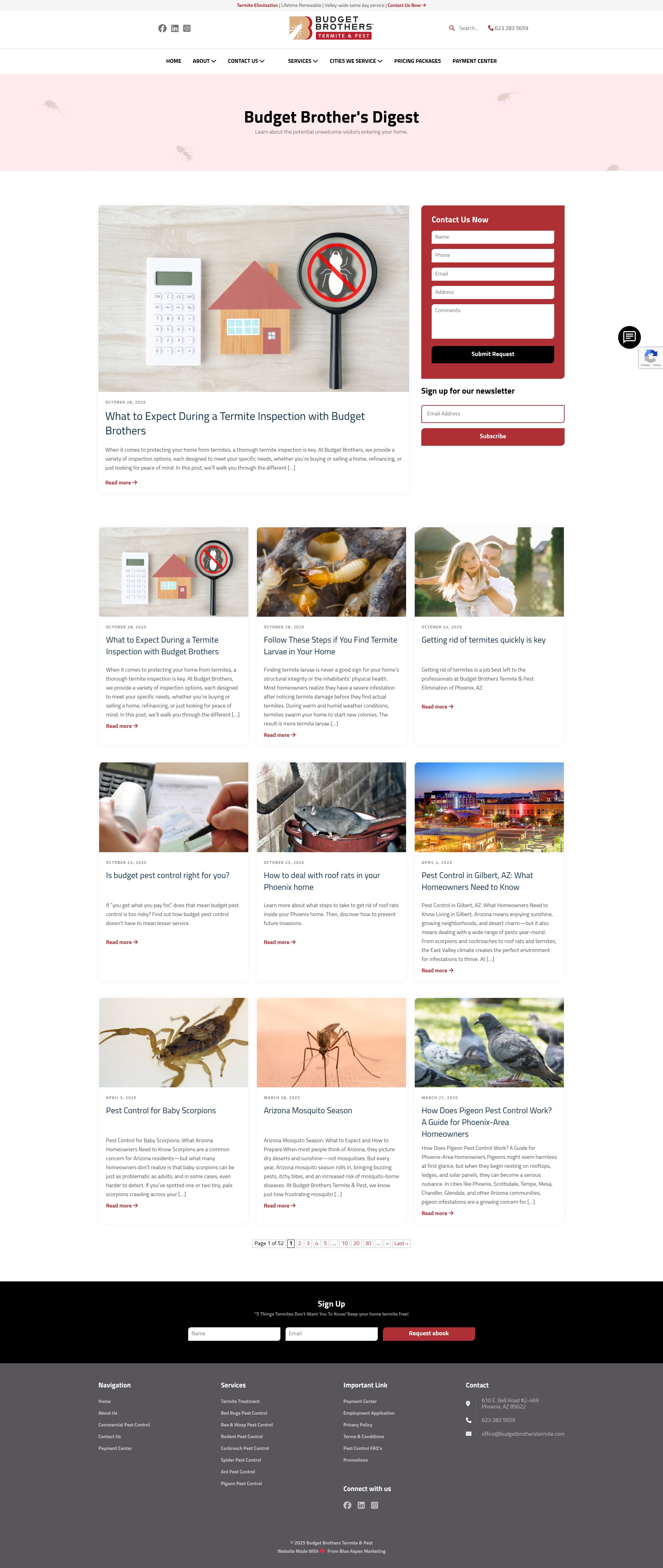 Screenshot of budgetbrotherstermite.com
