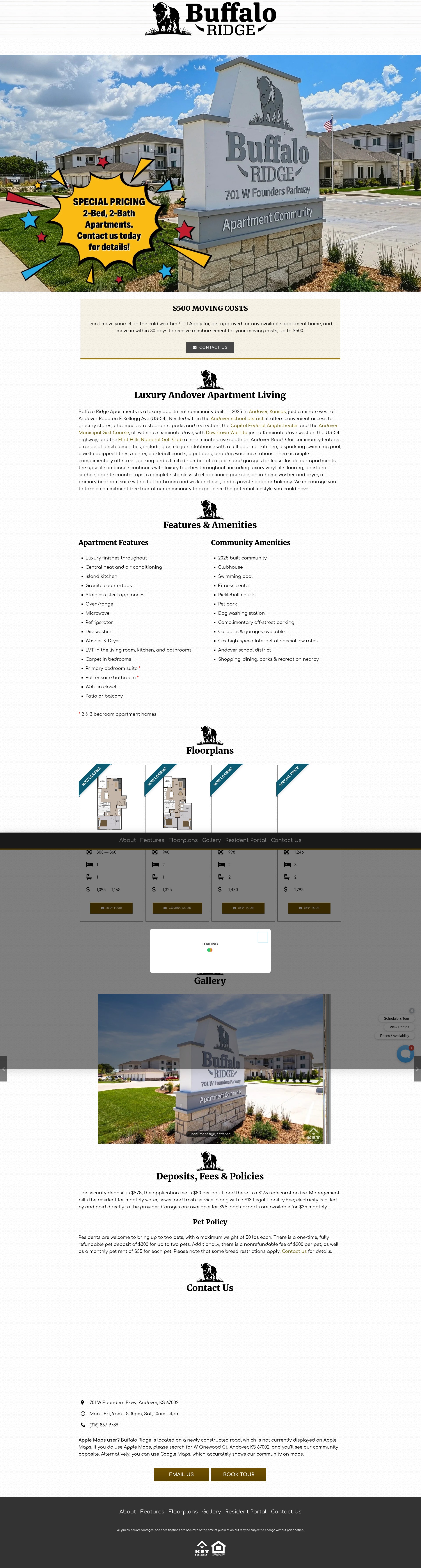 Screenshot of buffaloridgeandover.com